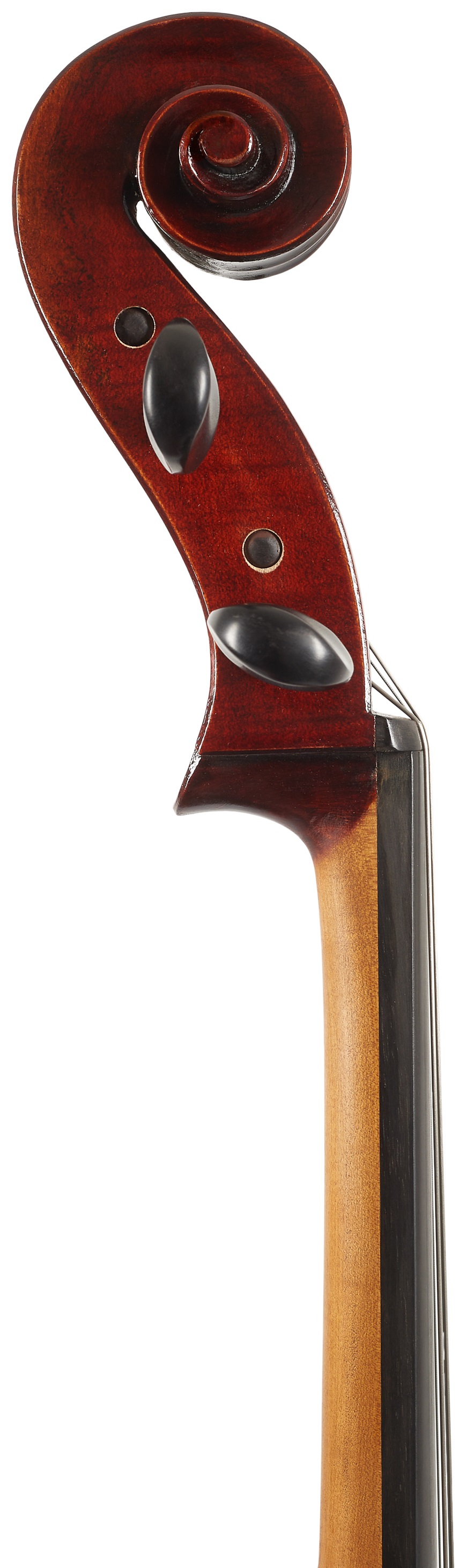 Eastman Ivan Dunov Cello 4/4 (VC401 ) (obrázek 6)
