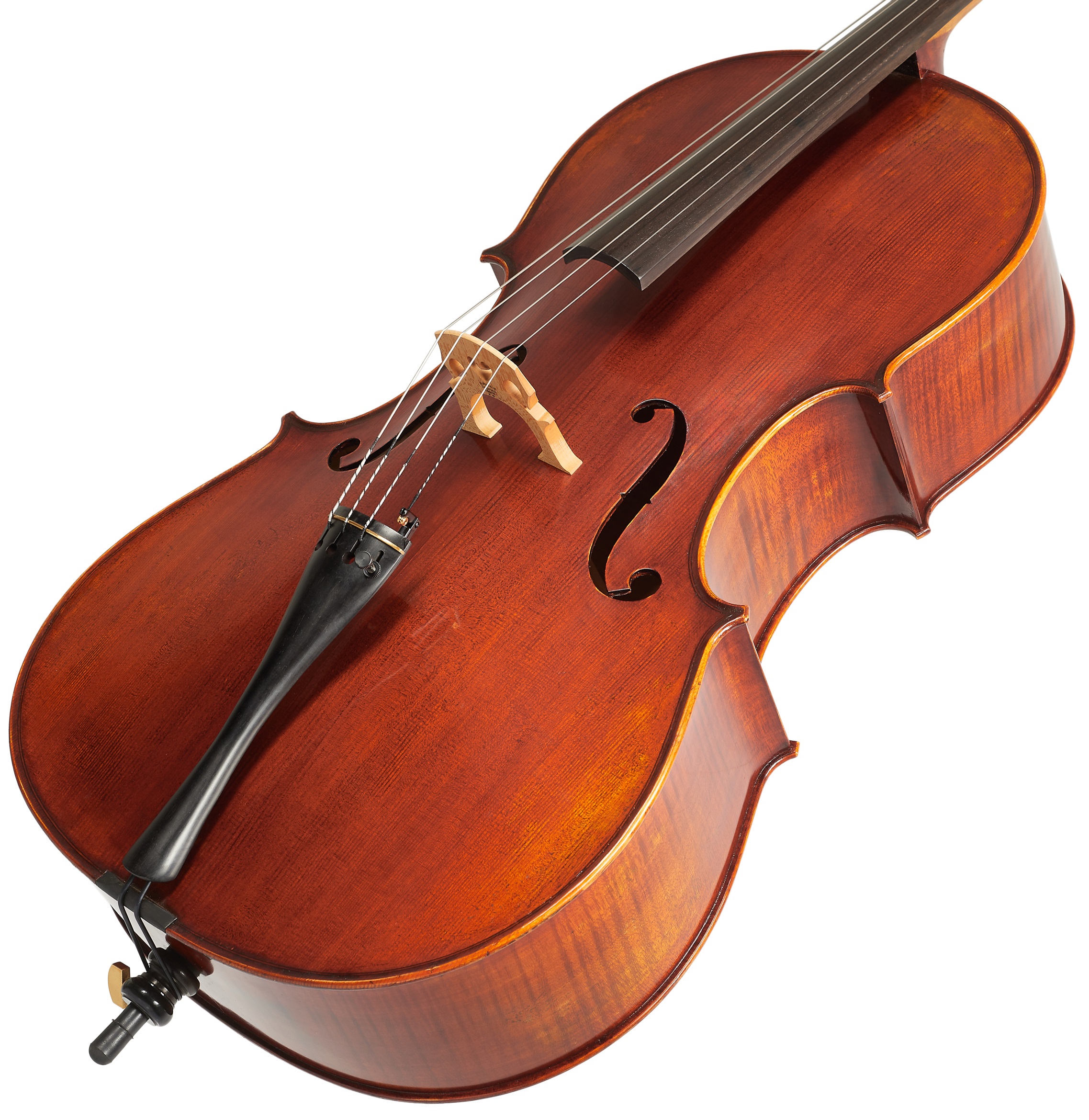 Eastman Andreas Eastman Master Cello 4/4 (VC605) (obrázek 3)