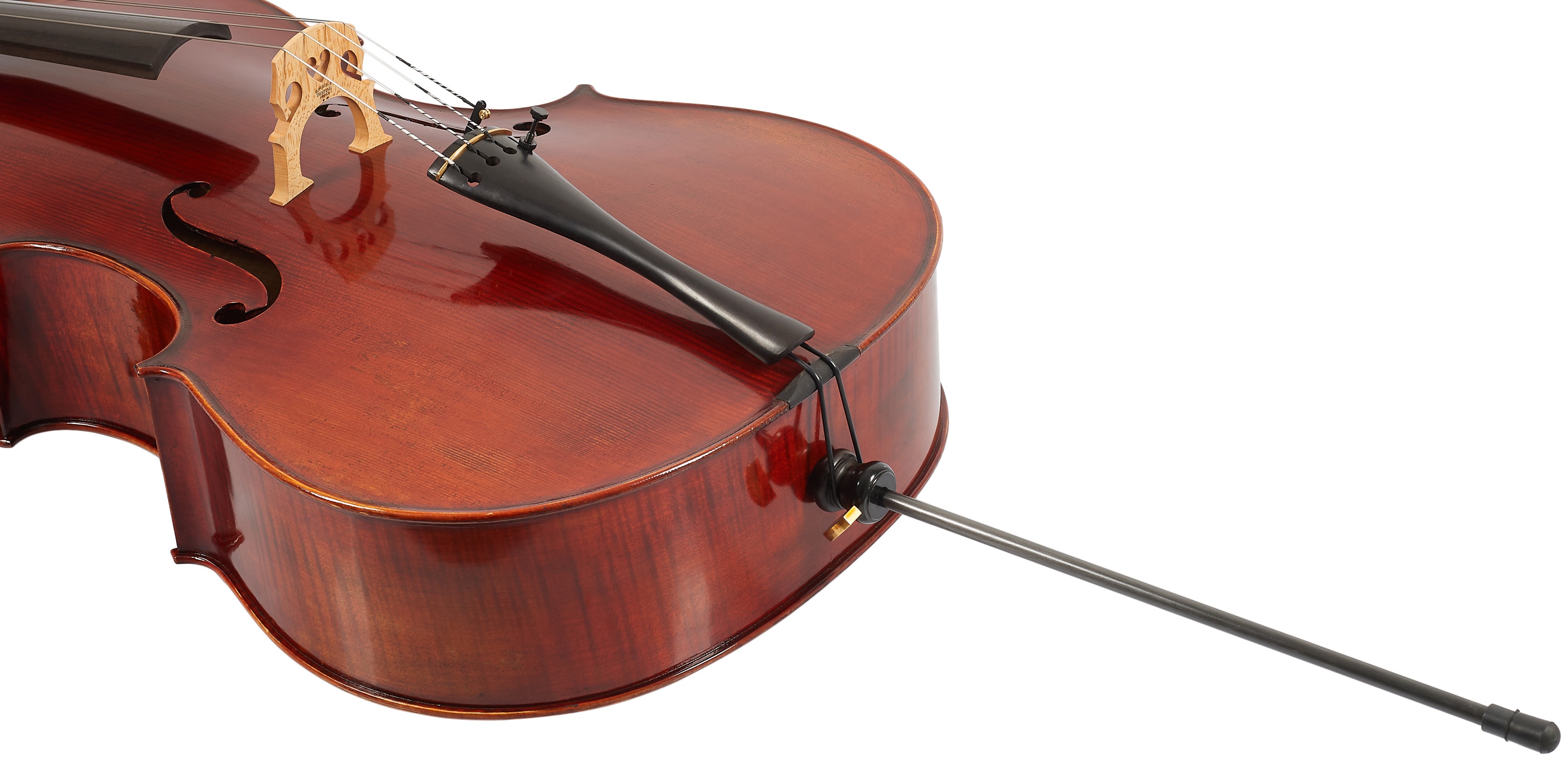 Eastman Andreas Eastman Master Cello 4/4 (VC605) (obrázek 4)