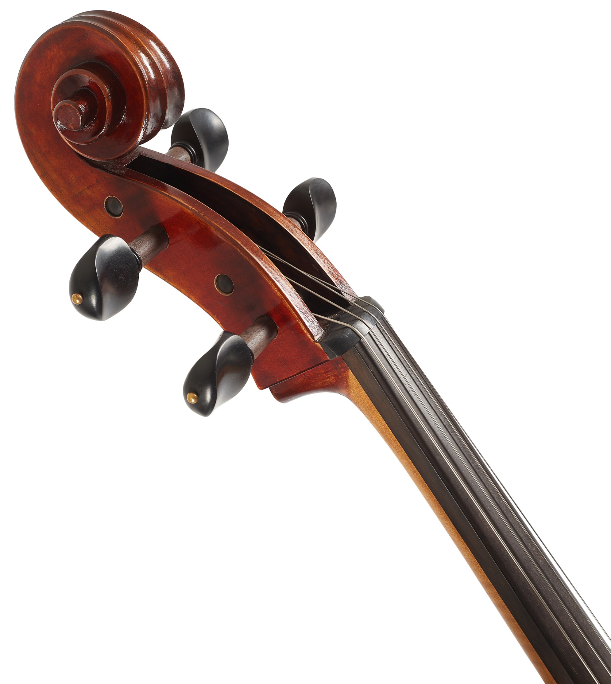 Eastman Andreas Eastman Master Cello 4/4 (VC605) (obrázek 5)