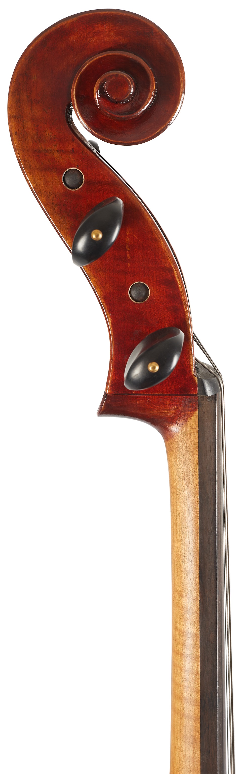 Eastman Andreas Eastman Master Cello 4/4 (VC605) (obrázek 6)