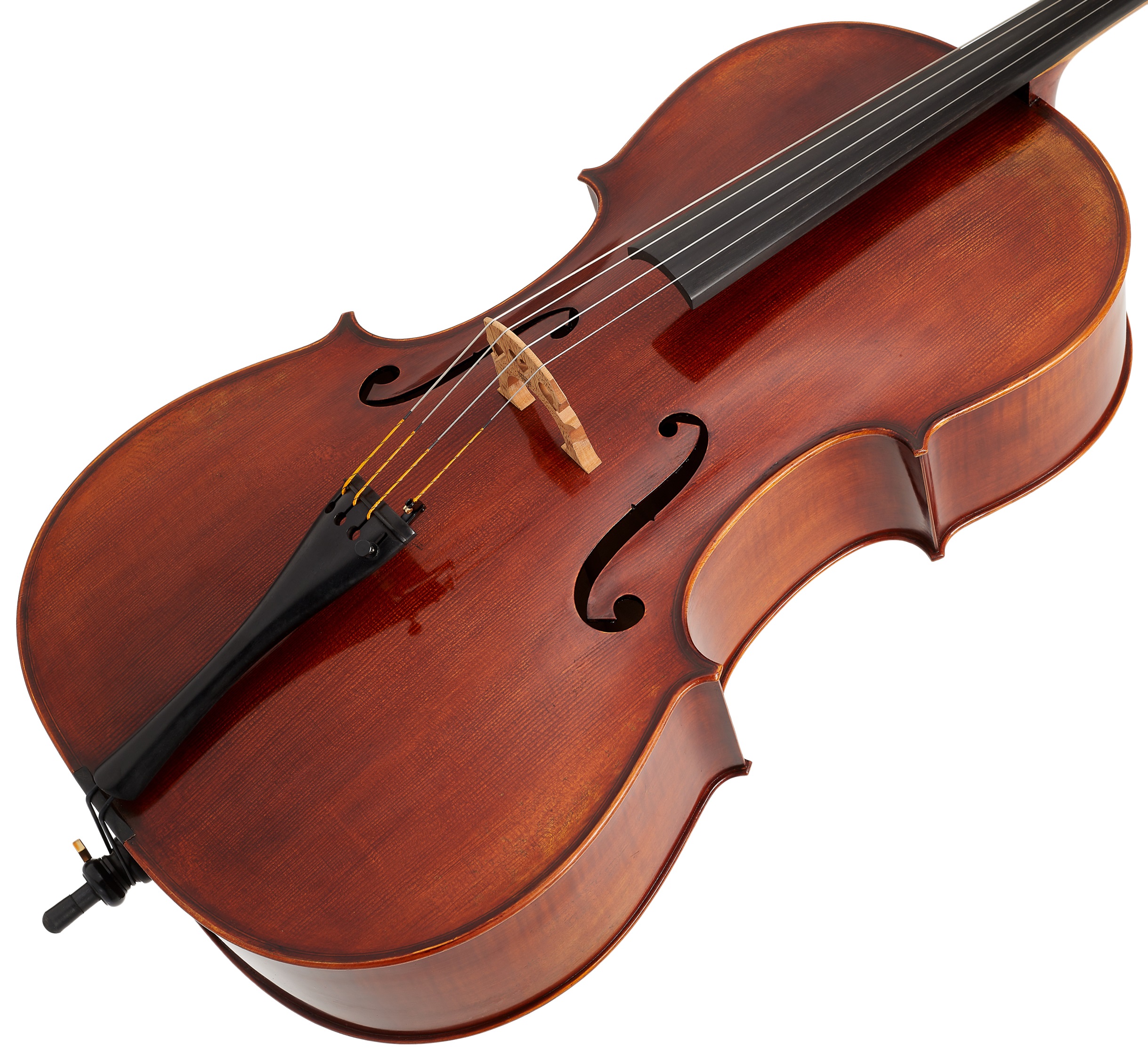 Eastman Rudoulf Doetsch Cello 4/4 (VC701G ) (obrázek 3)