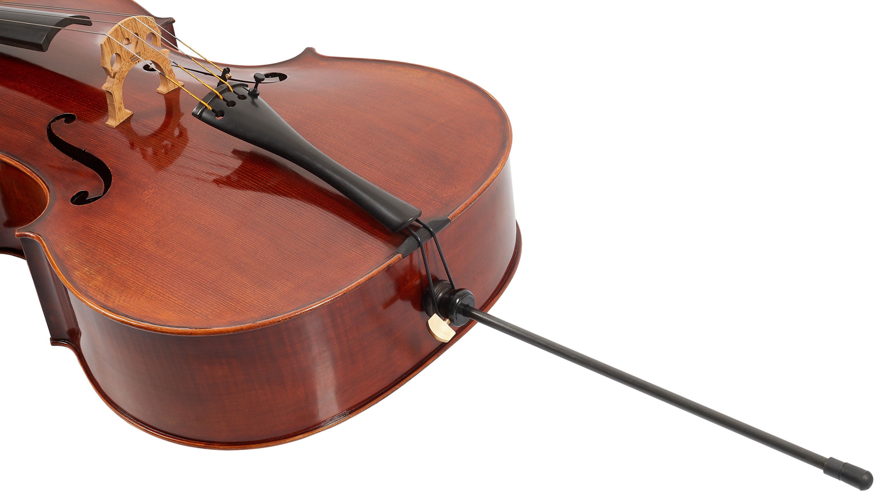 Eastman Rudoulf Doetsch Cello 4/4 (VC701G ) (obrázek 4)