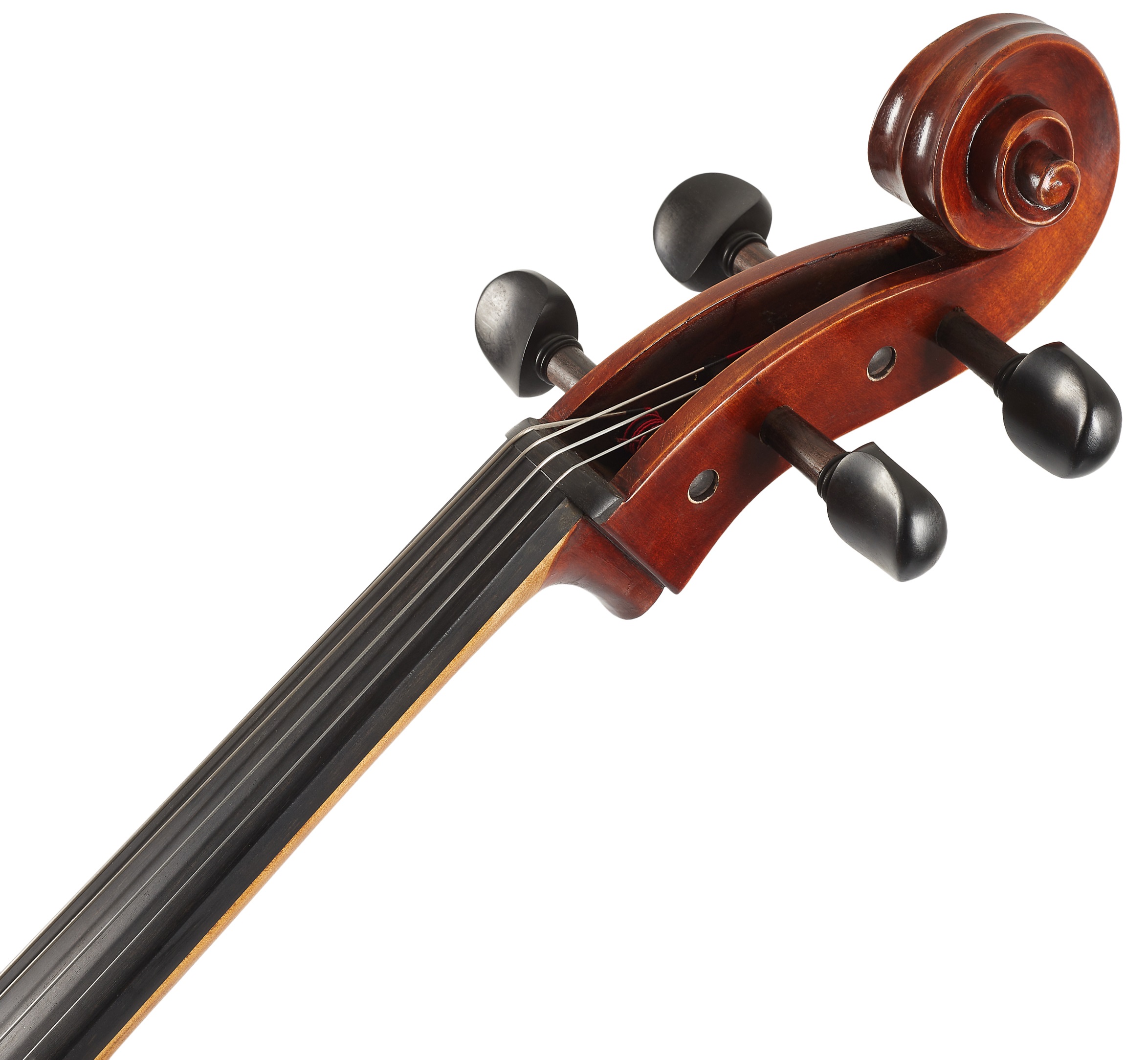 Eastman Rudoulf Doetsch Cello 4/4 (VC701G ) (obrázek 5)