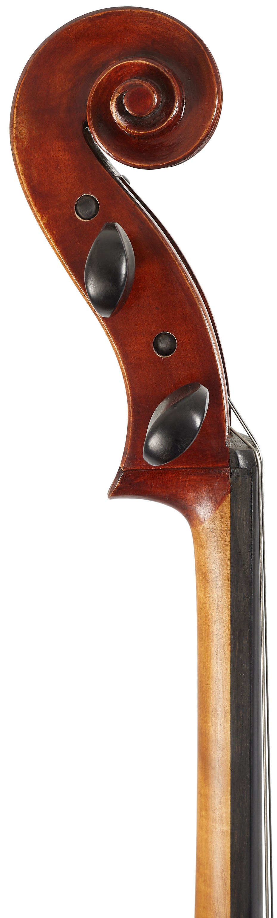 Eastman Rudoulf Doetsch Cello 4/4 (VC701G ) (obrázek 6)