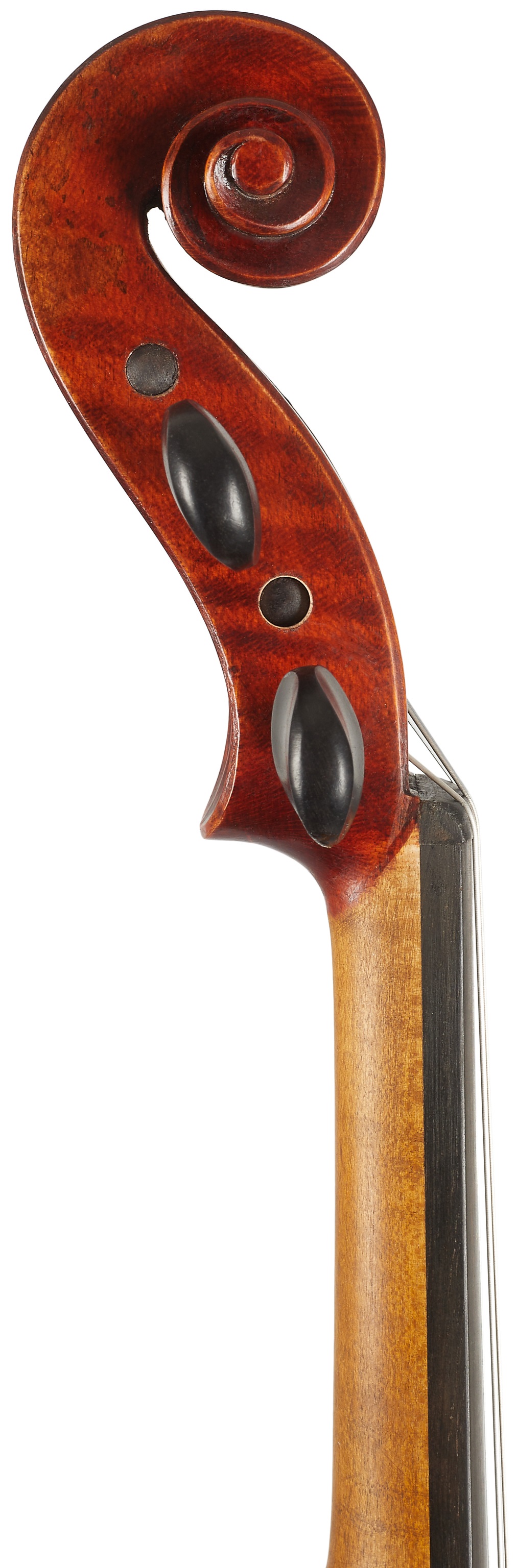 Eastman Ivan Dunov Violin 4/4(VL401 ) (obrázek 5)