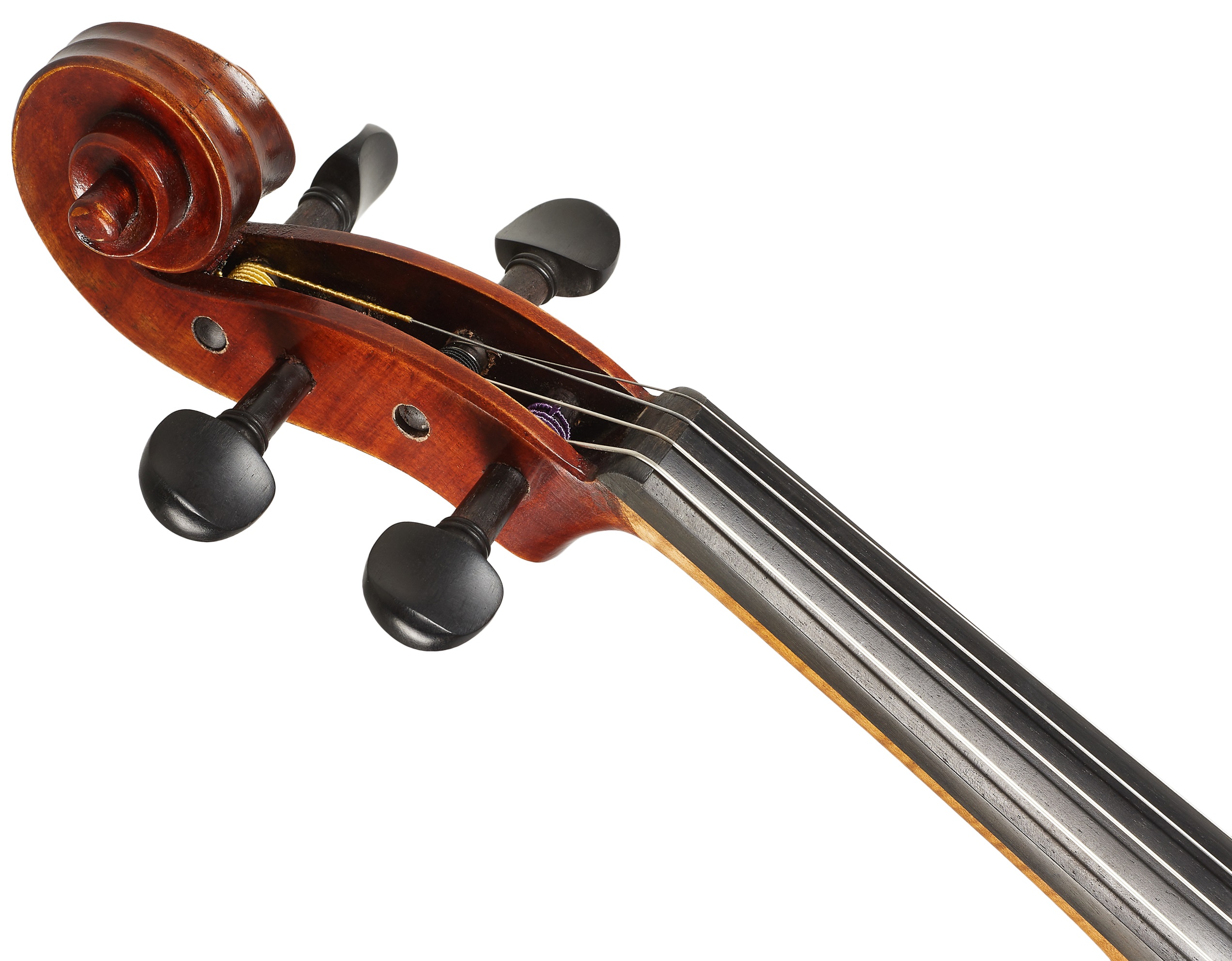 Eastman Rudoulf Doetsch Viola 16" (VA701G) (obrázek 4)