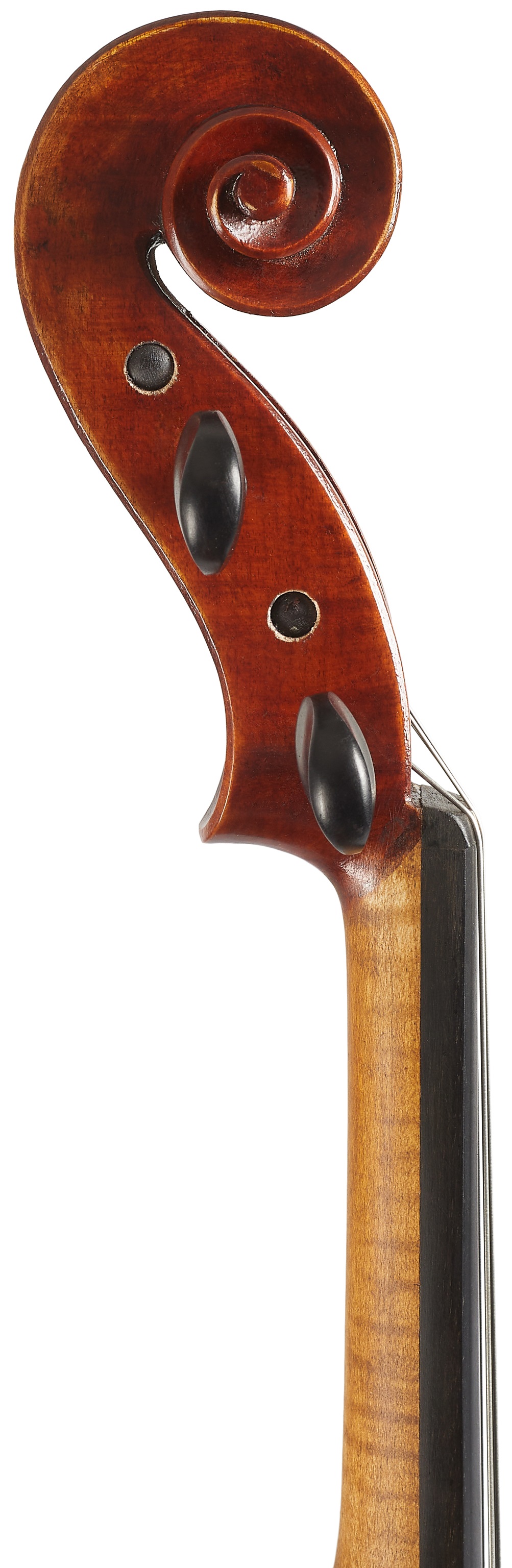 Eastman Rudoulf Doetsch Viola 16" (VA701G) (obrázek 5)