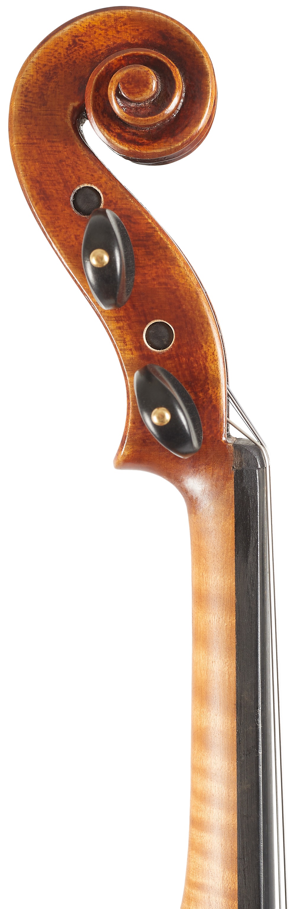 Eastman 830 Series 4/4 Stradivari Violin (obrázek 5)