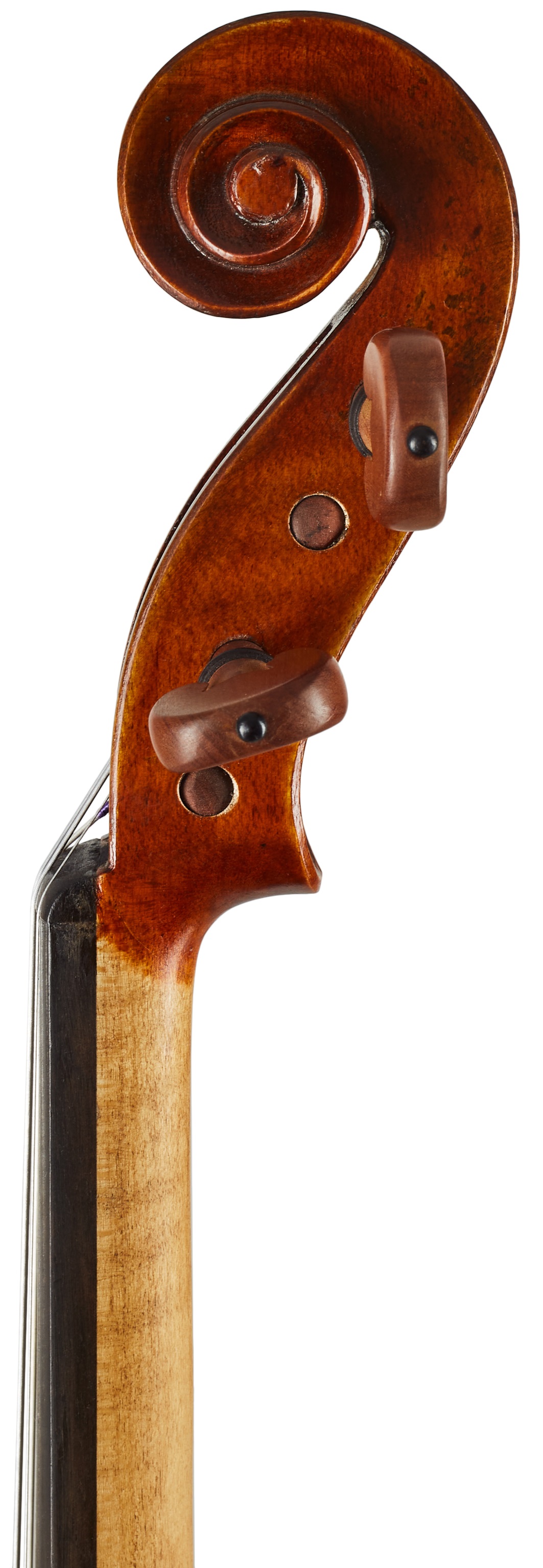Eastman Andreas Eastman Violin 4/4 (VL405) (obrázek 7)
