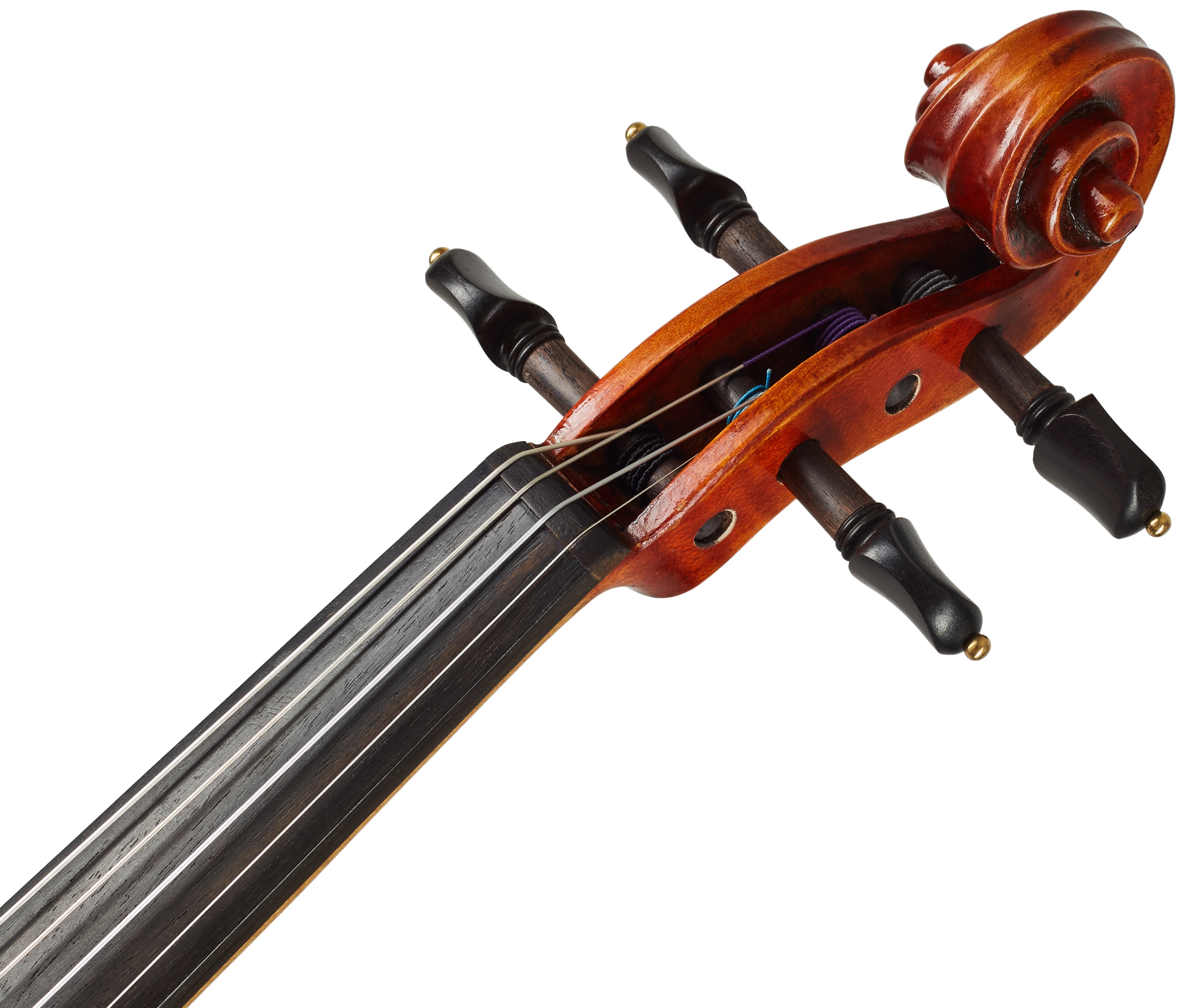 Eastman Frederich Wyss Violin 4/4 (VL703G) (obrázek 6)