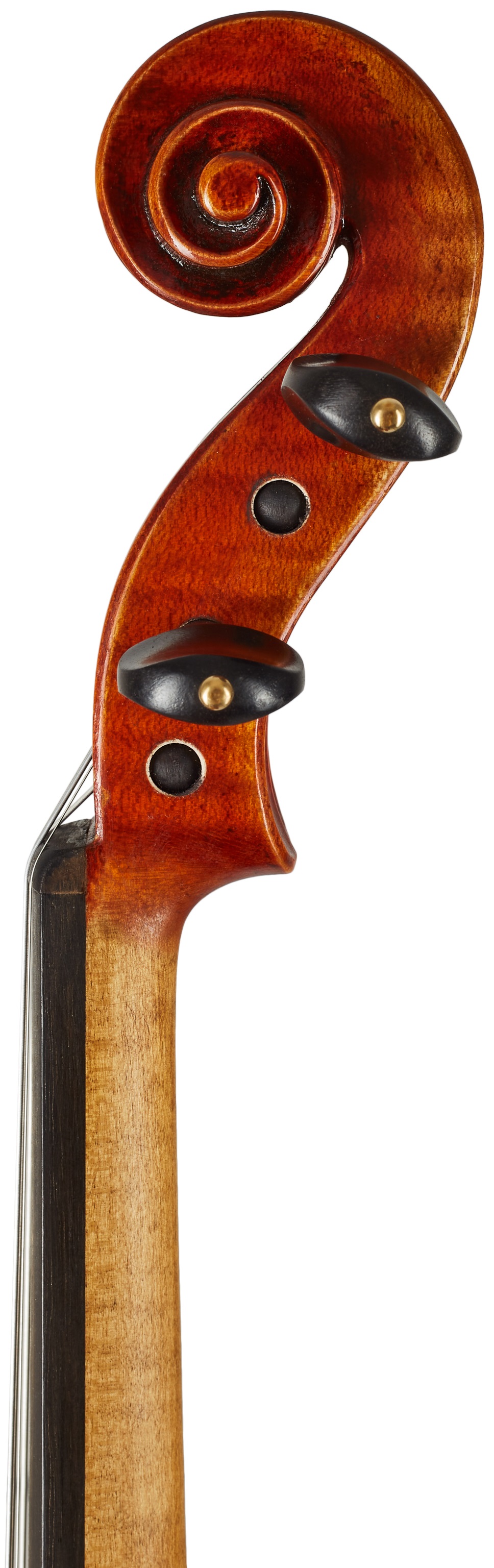 Eastman Frederich Wyss Violin 4/4 (VL703G) (obrázek 7)
