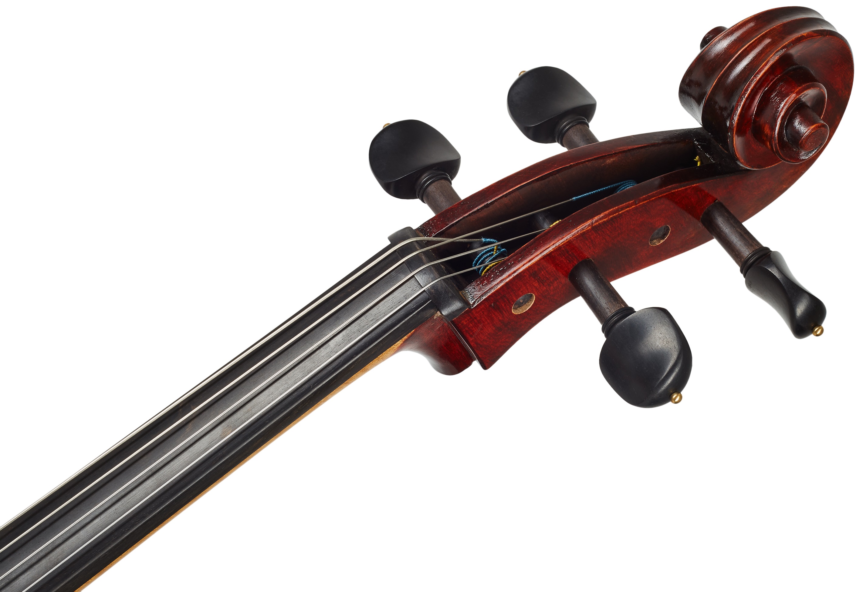 Eastman Amsterdam Atelier 1 Series 4/4 Cello (obrázek 6)