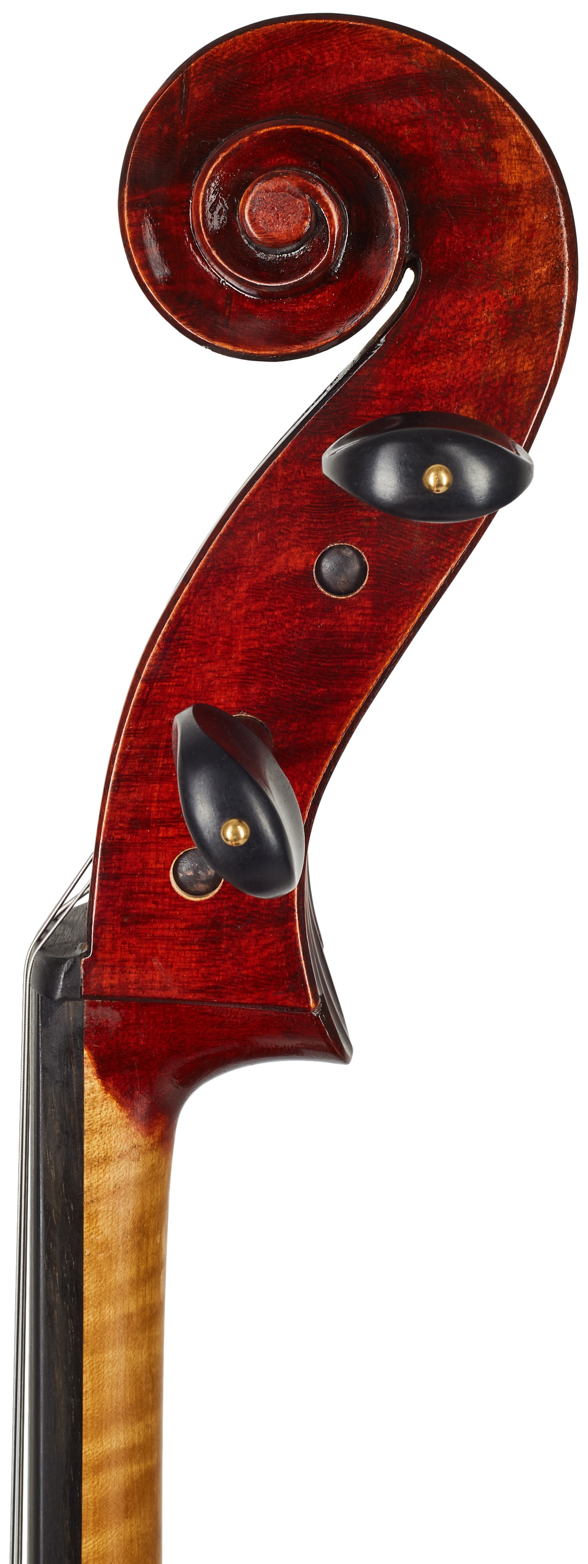 Eastman Amsterdam Atelier 1 Series 4/4 Cello (obrázek 7)