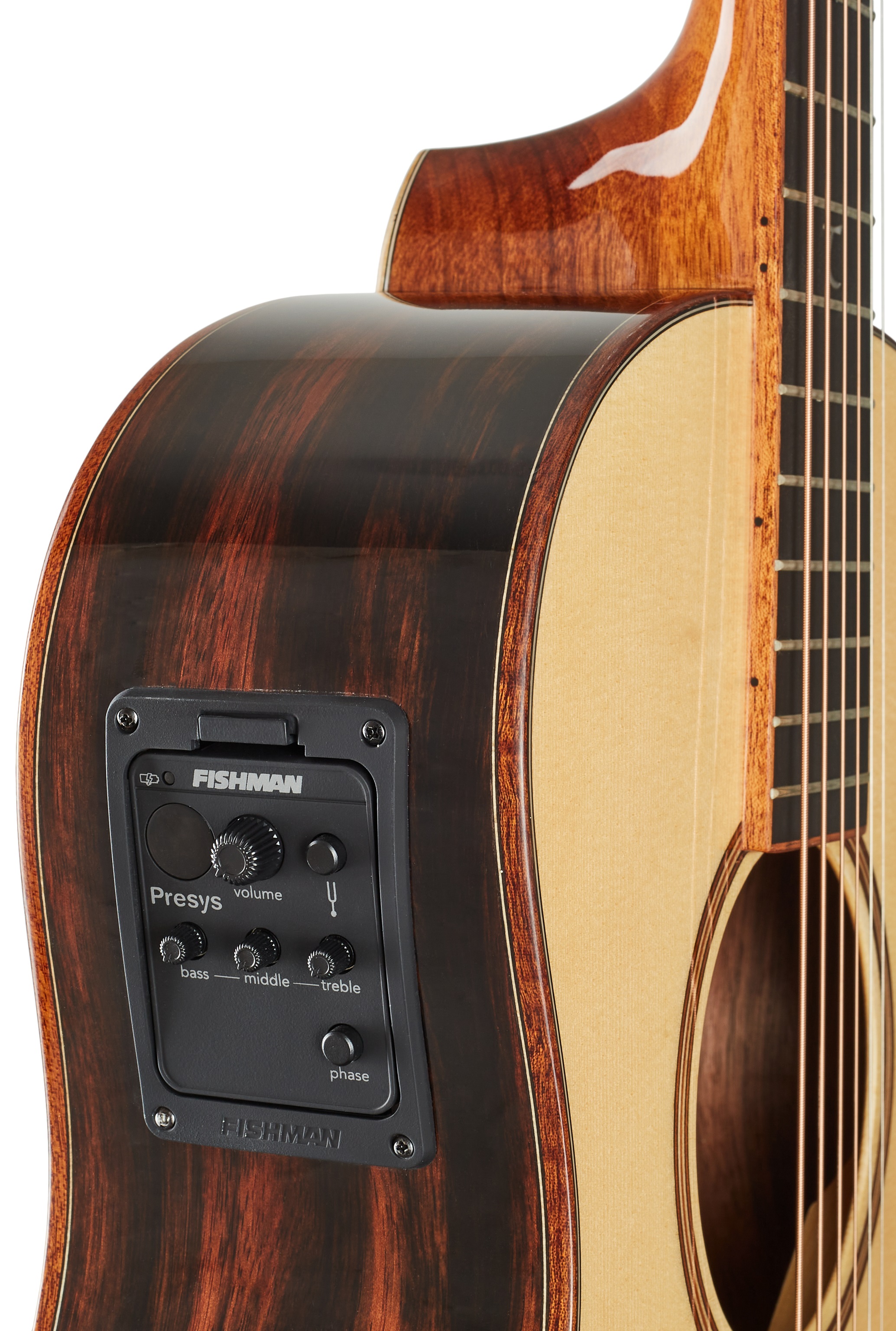 Tanglewood TJ8E (obrázek 4)