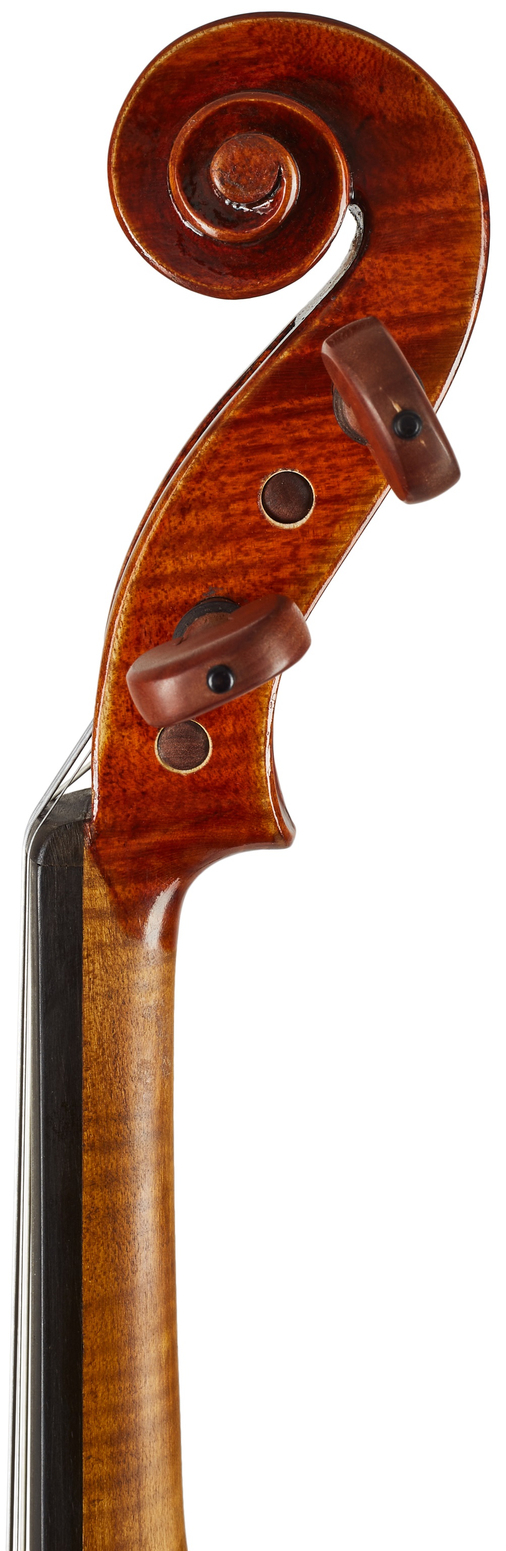 Eastman Amsterdam Atelier 2 Series 4/4 Violin (obrázek 7)