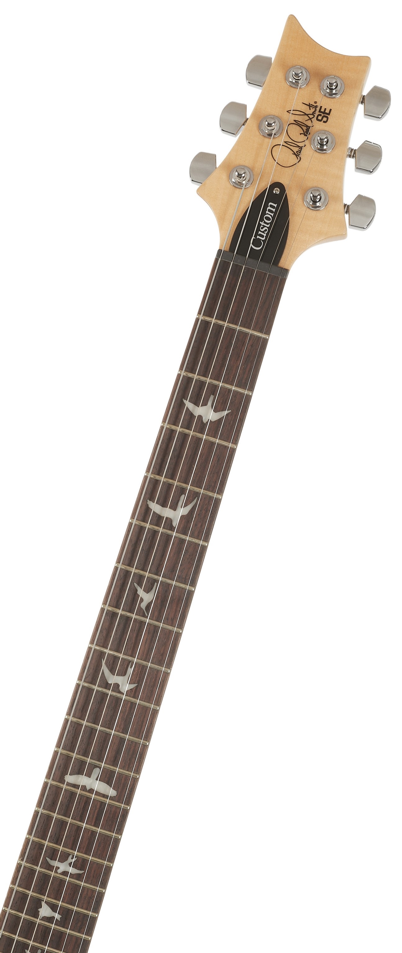 PRS SE Custom 24 Turquiose (obrázek 4)
