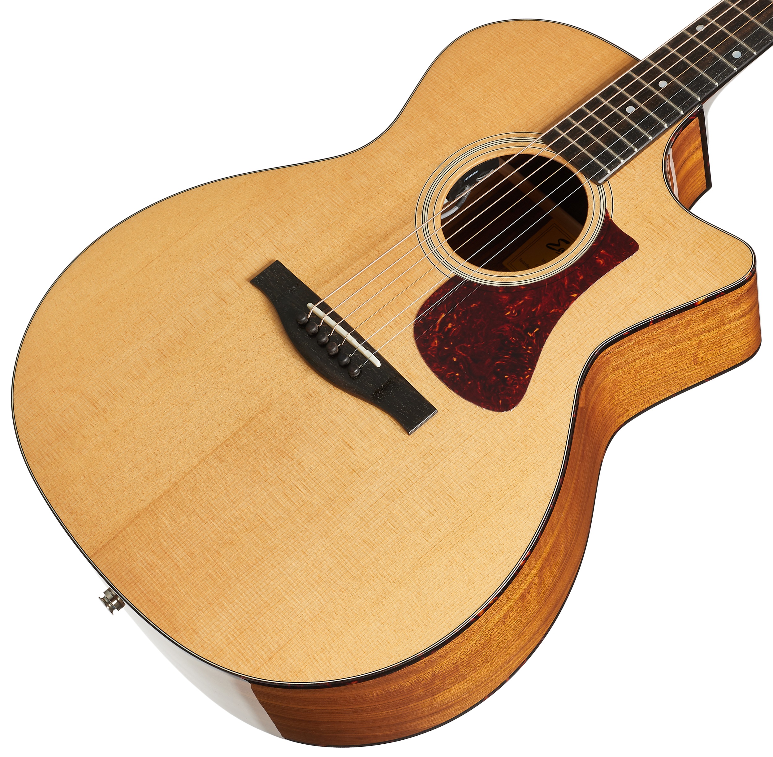 Eastman AC222CE-DLX (obrázek 3)
