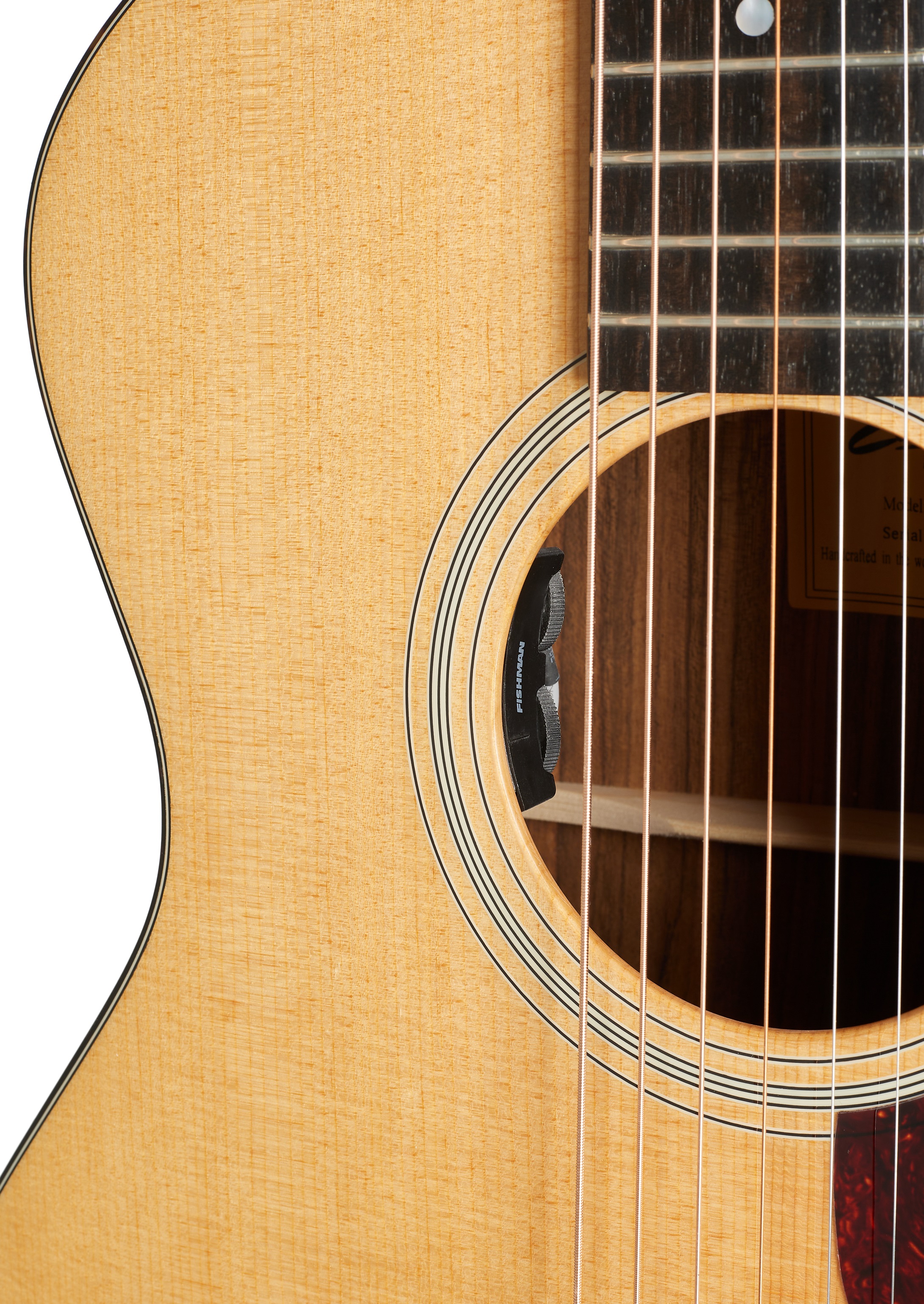 Eastman AC222CE-DLX (obrázek 4)