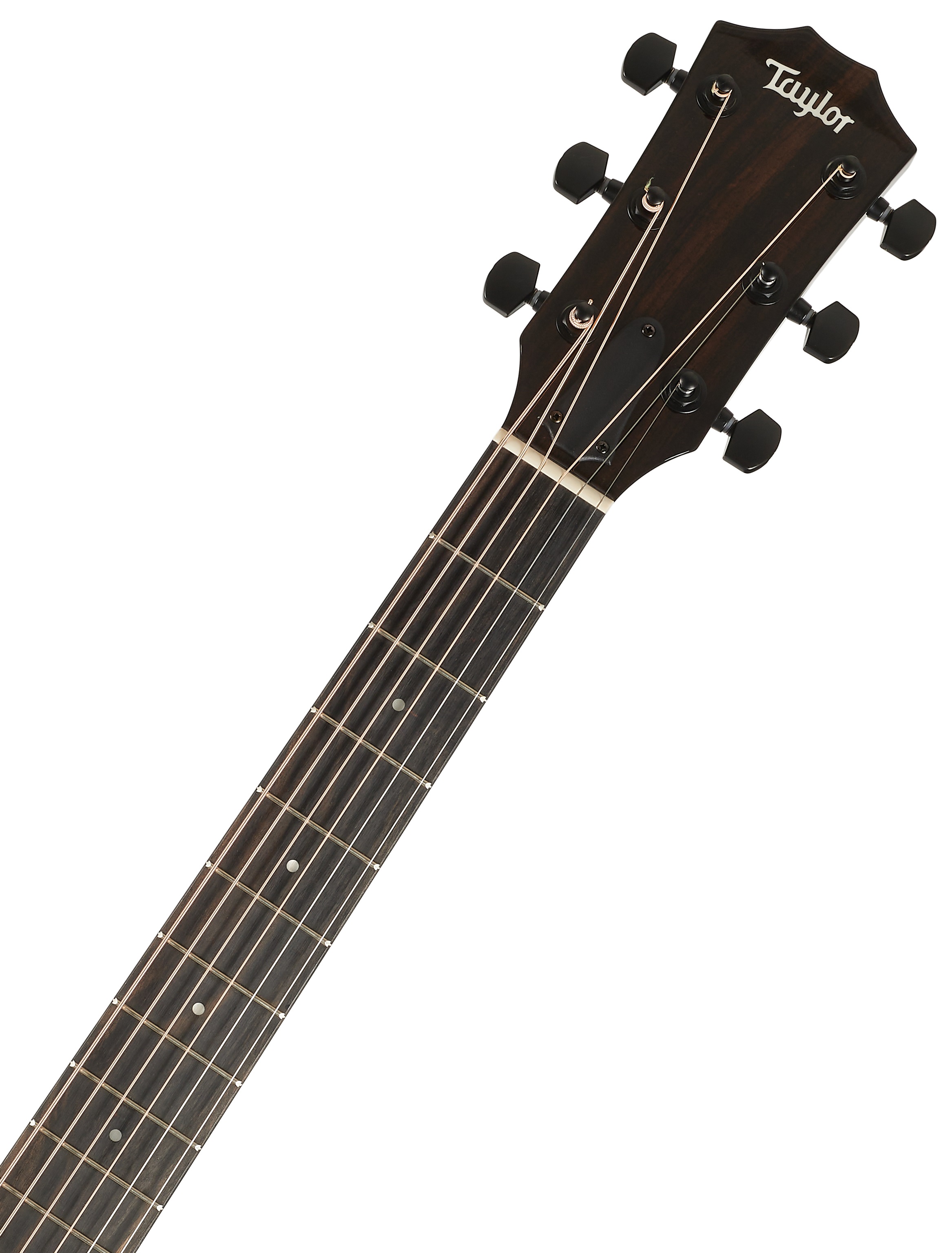 Taylor 214ce-BLK Plus (obrázek 5)