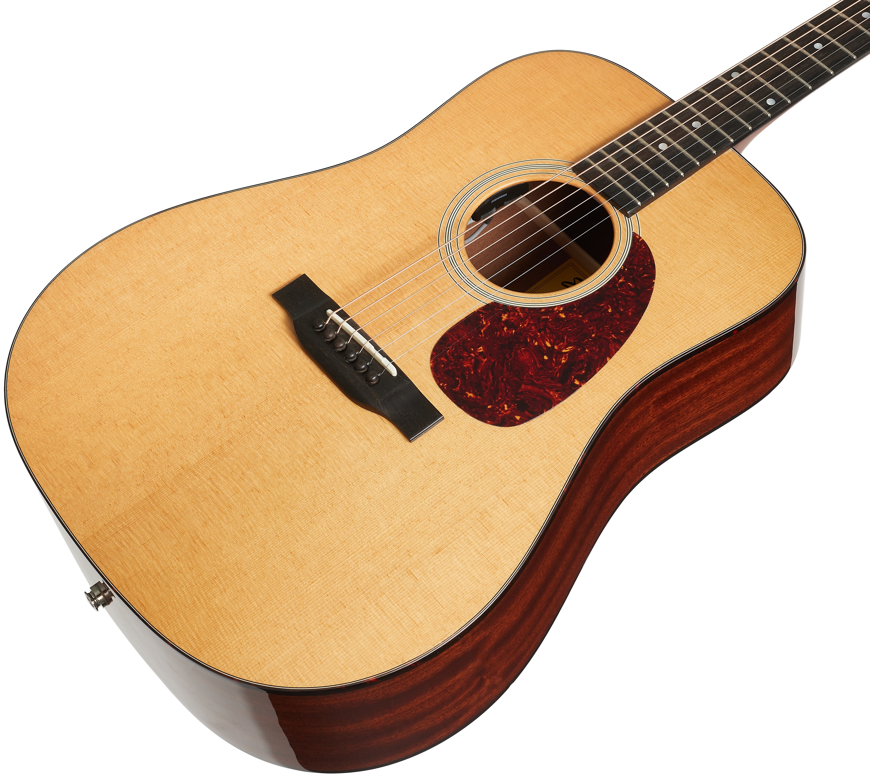 Eastman E1D-DLX (obrázek 3)