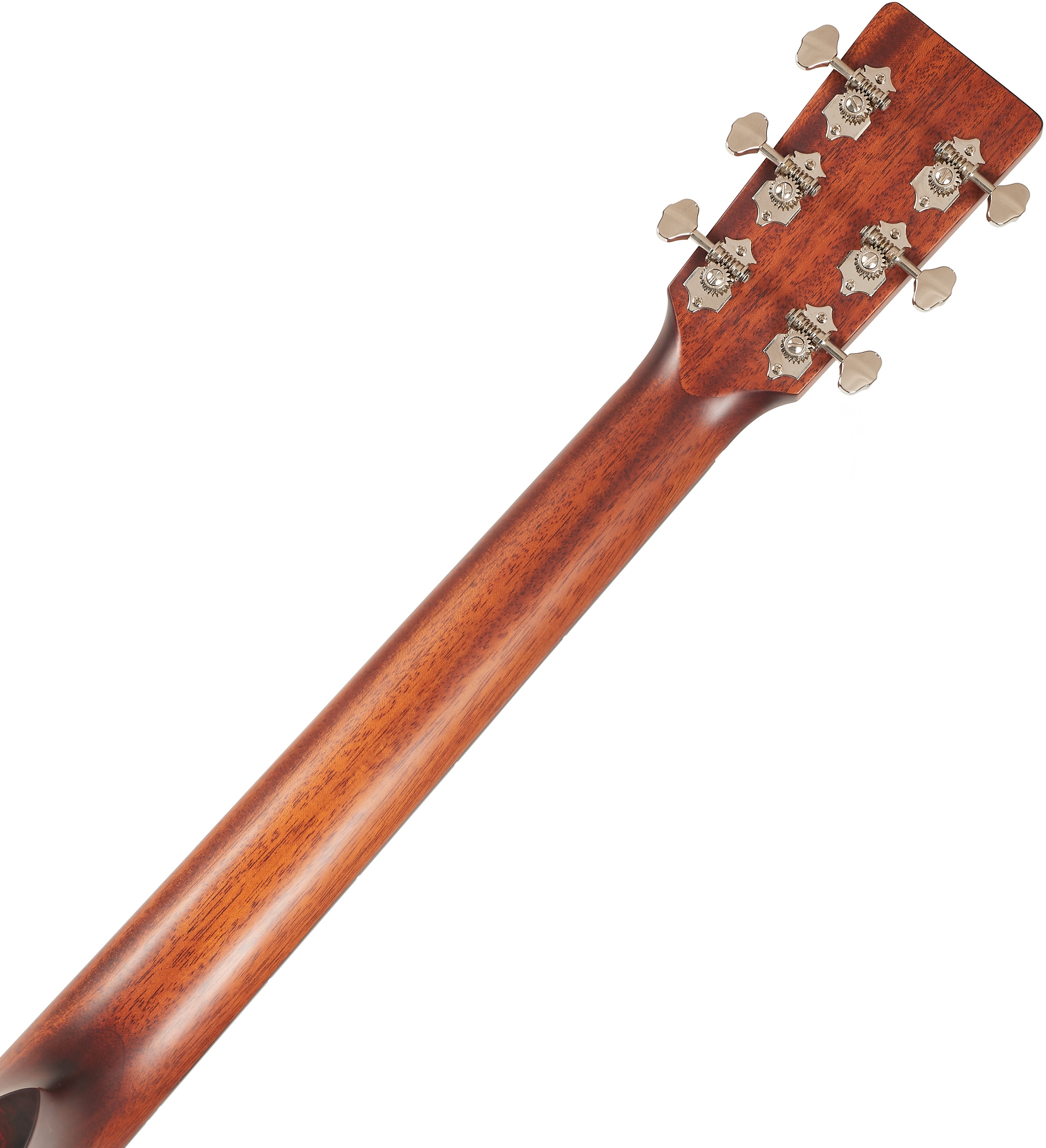 Eastman E1D-DLX (obrázek 5)