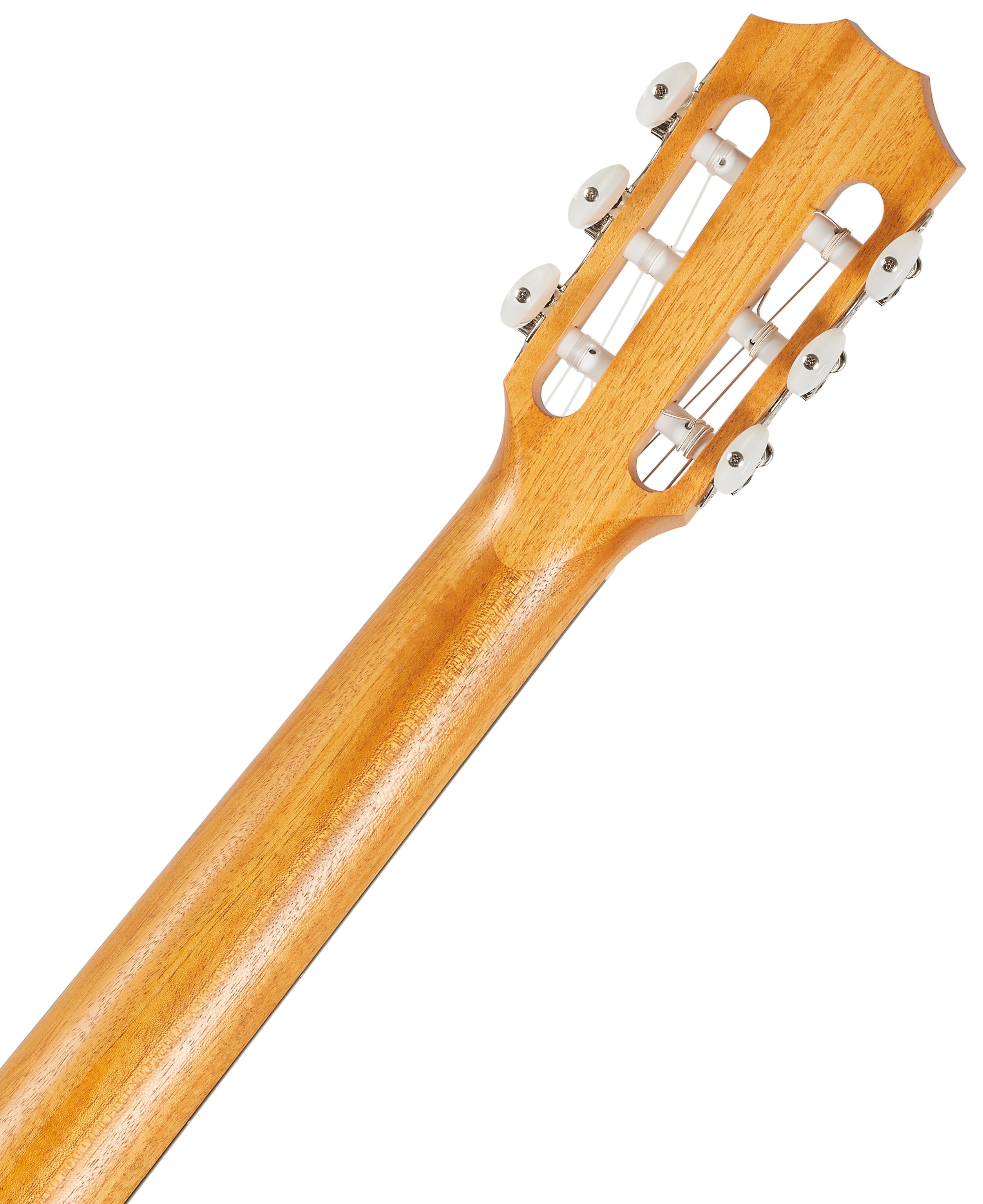 Taylor Academy 12e-N (obrázek 6)