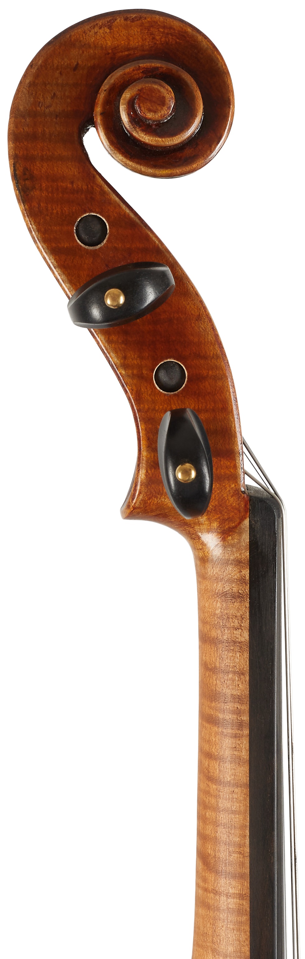 Eastman 830 Series 4/4 Guarneri Violin (obrázek 5)