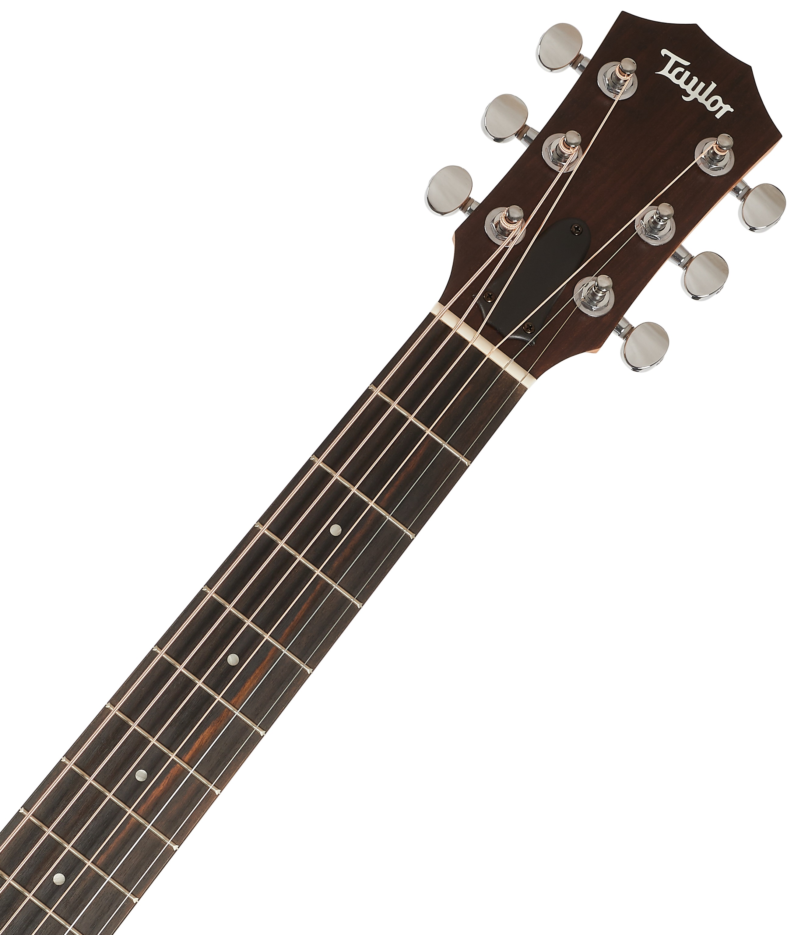 Taylor GS Mini Sapele (obrázek 4)