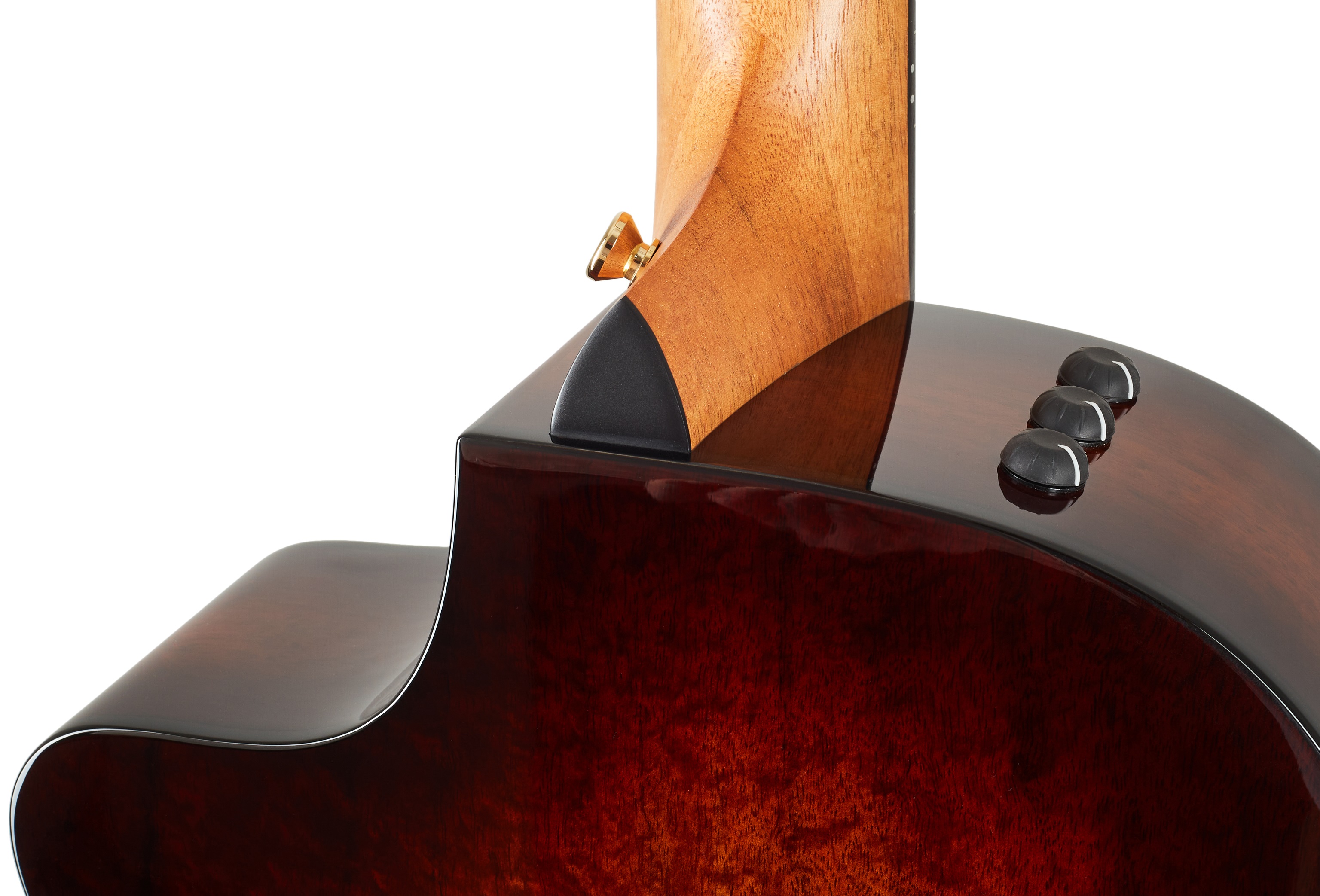 Taylor 222ce-K DLX (obrázek 4)