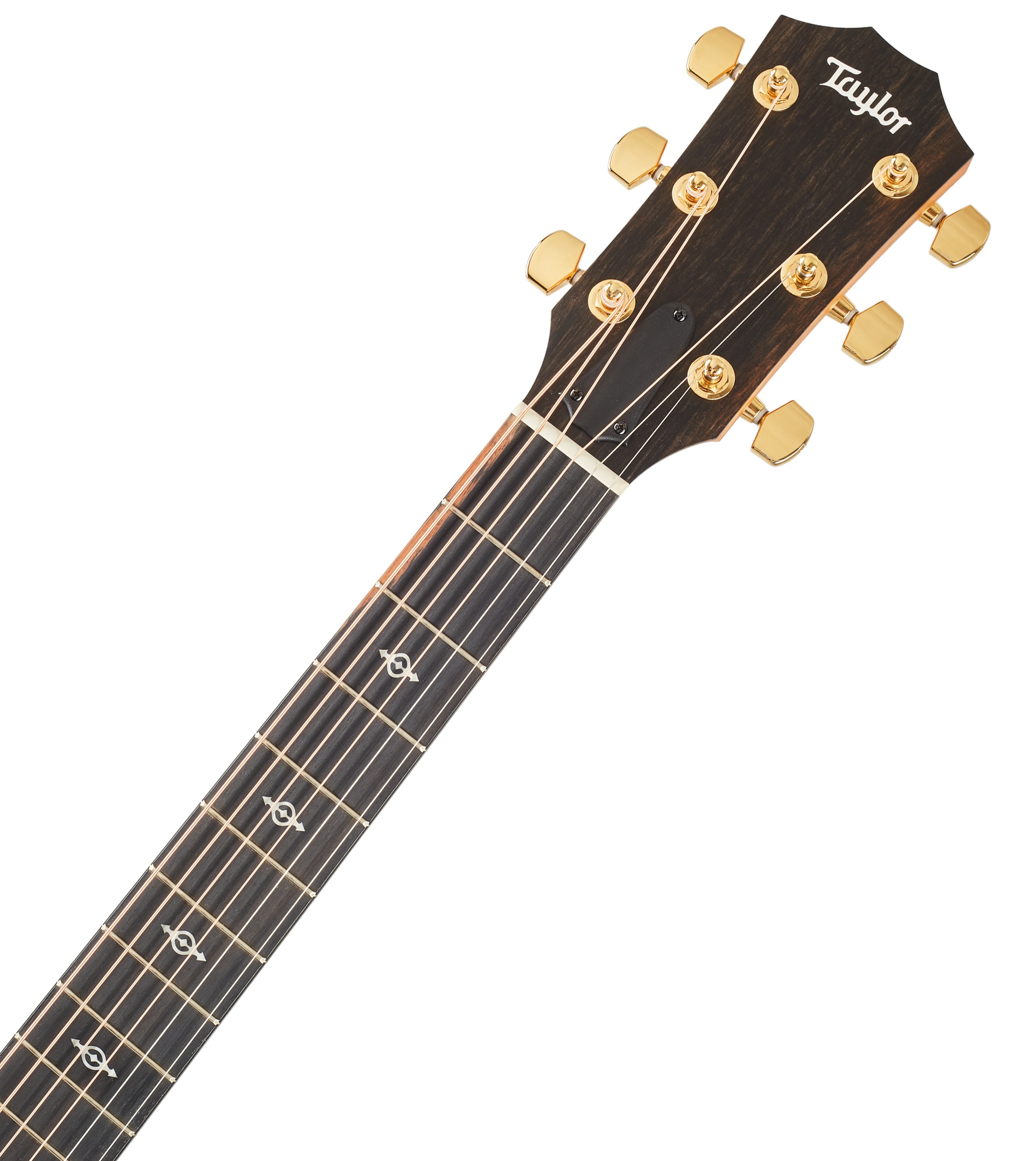 Taylor 222ce-K DLX (obrázek 5)