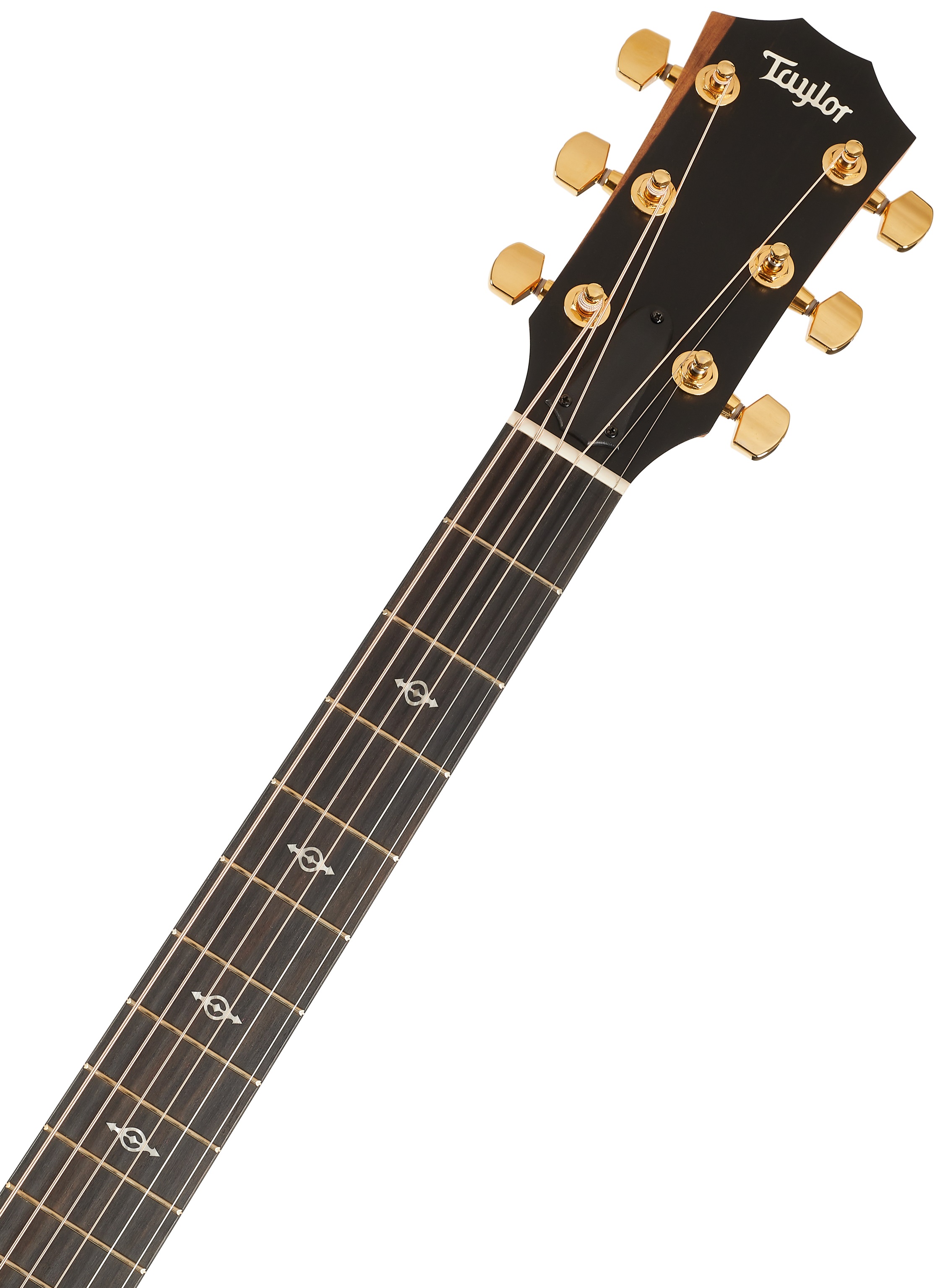 Taylor 224ce-K DLX (obrázek 5)