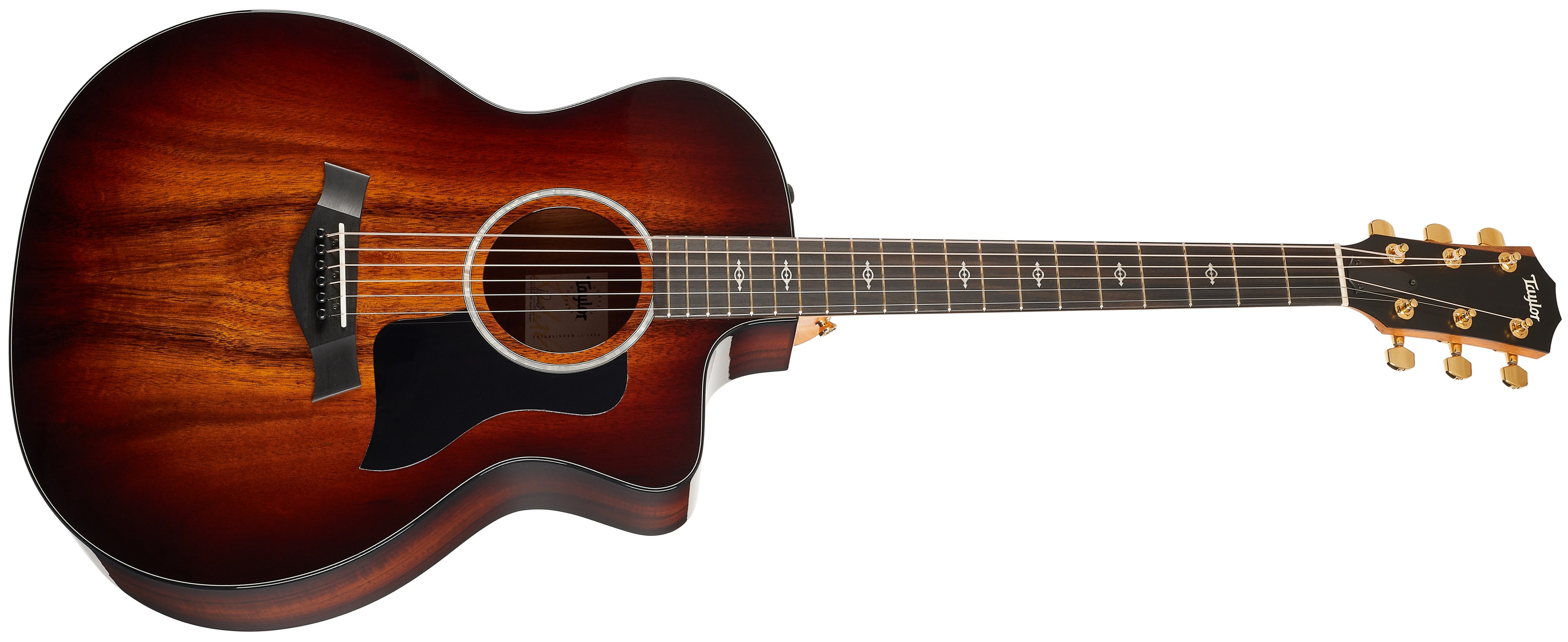 Taylor 224ce-K DLX C-Class Bracing (použité)