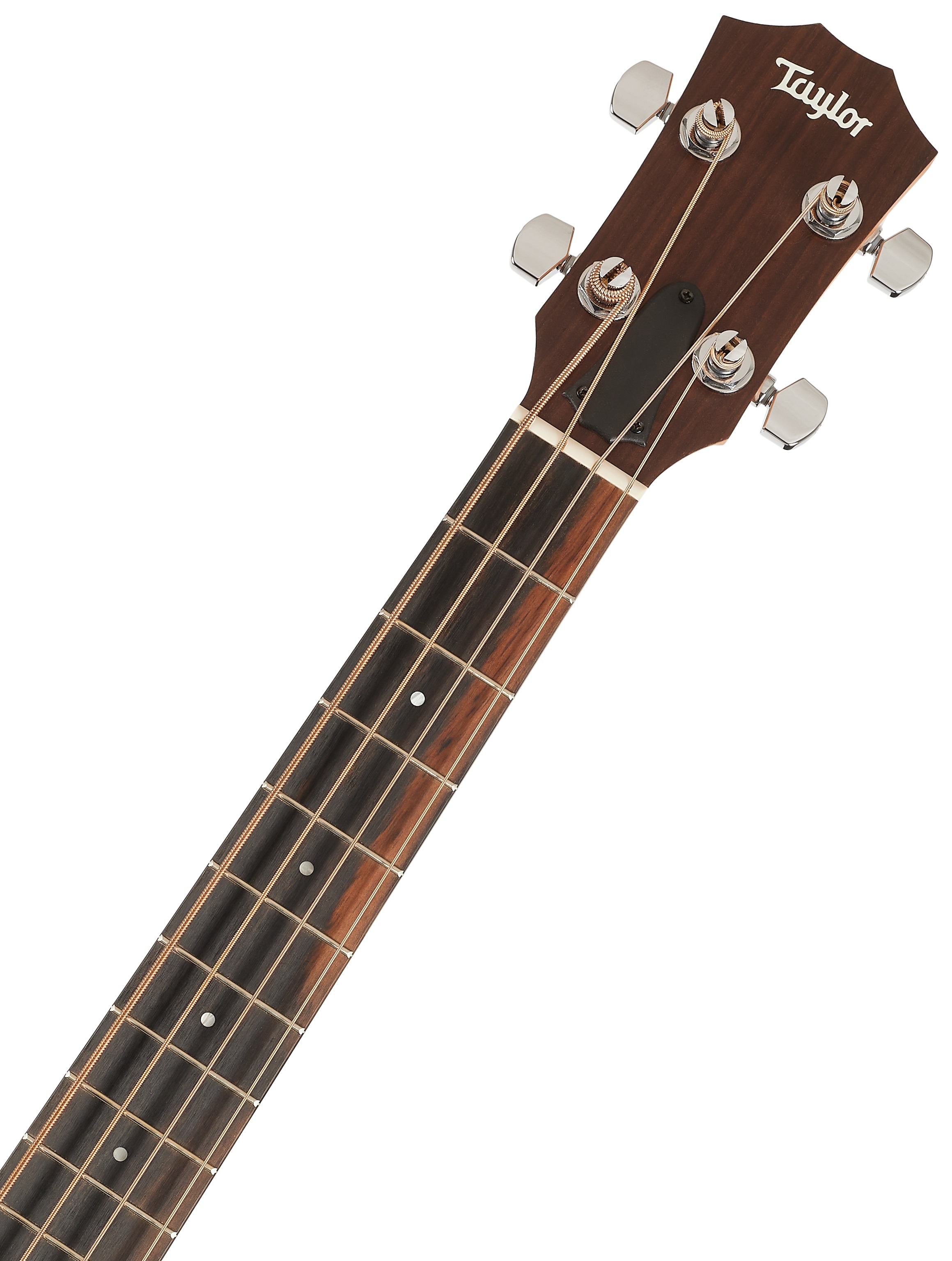 Taylor GS Mini-e Bass (obrázek 5)