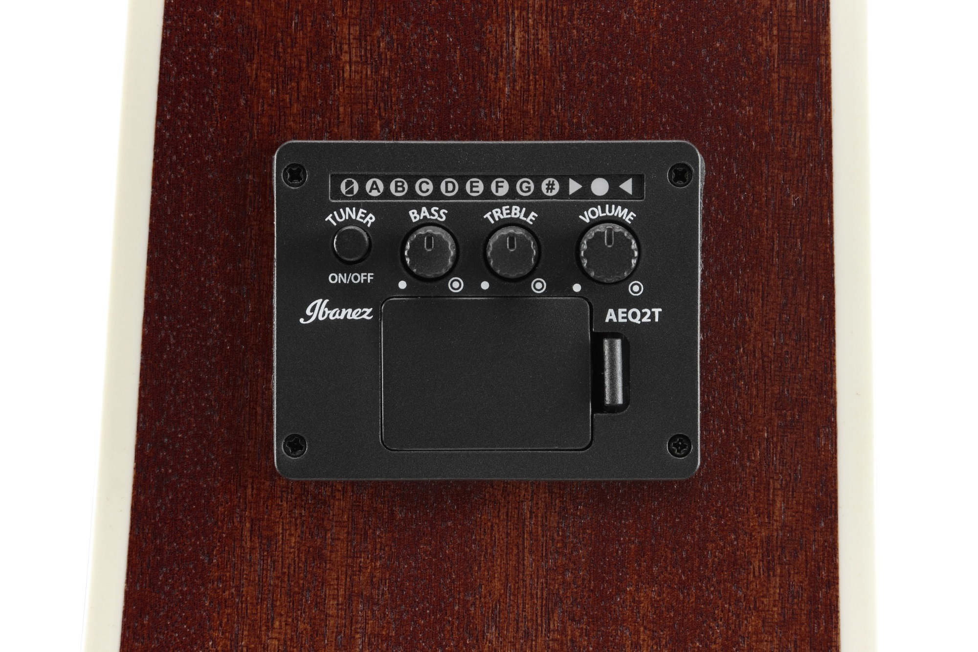 Ibanez PF16MWCE Natural (obrázek 6)