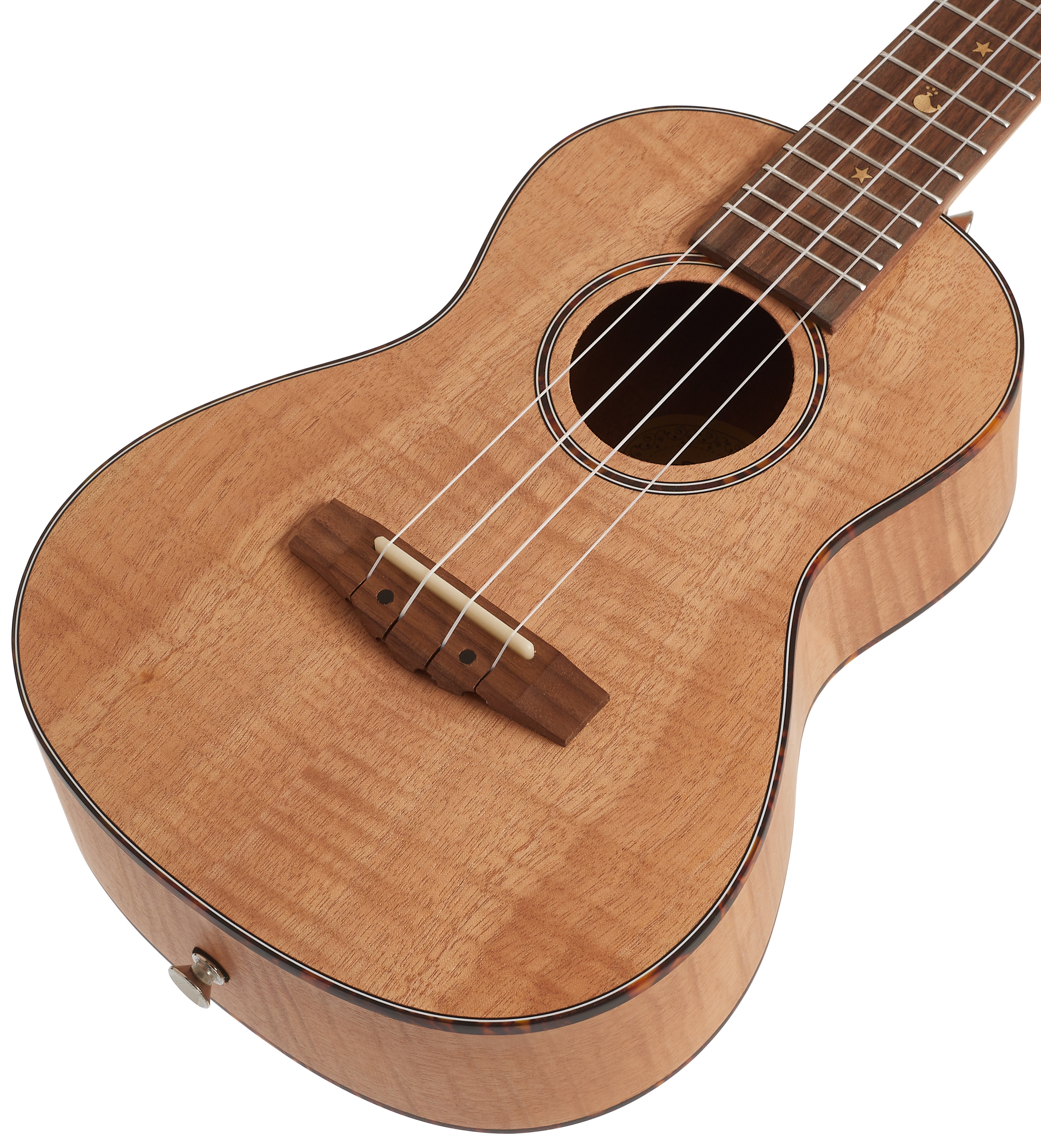 Bamboo U-23 Fairy (obrázek 3)