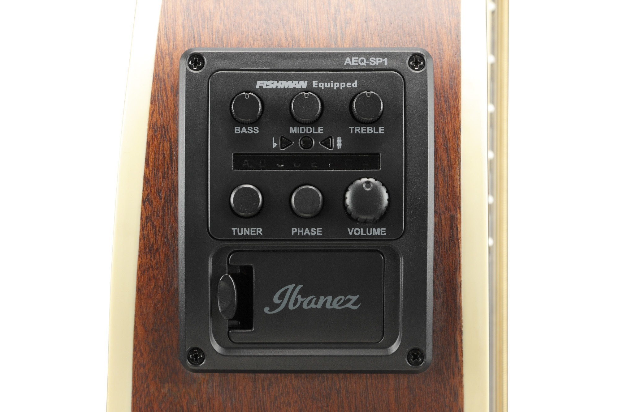 Ibanez AEWC12 Rose Gold Metallic (obrázek 6)