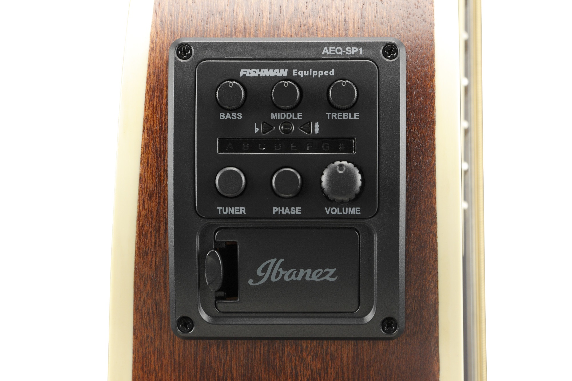 Ibanez AEWC12 Prussian Blue Metallic (obrázek 6)