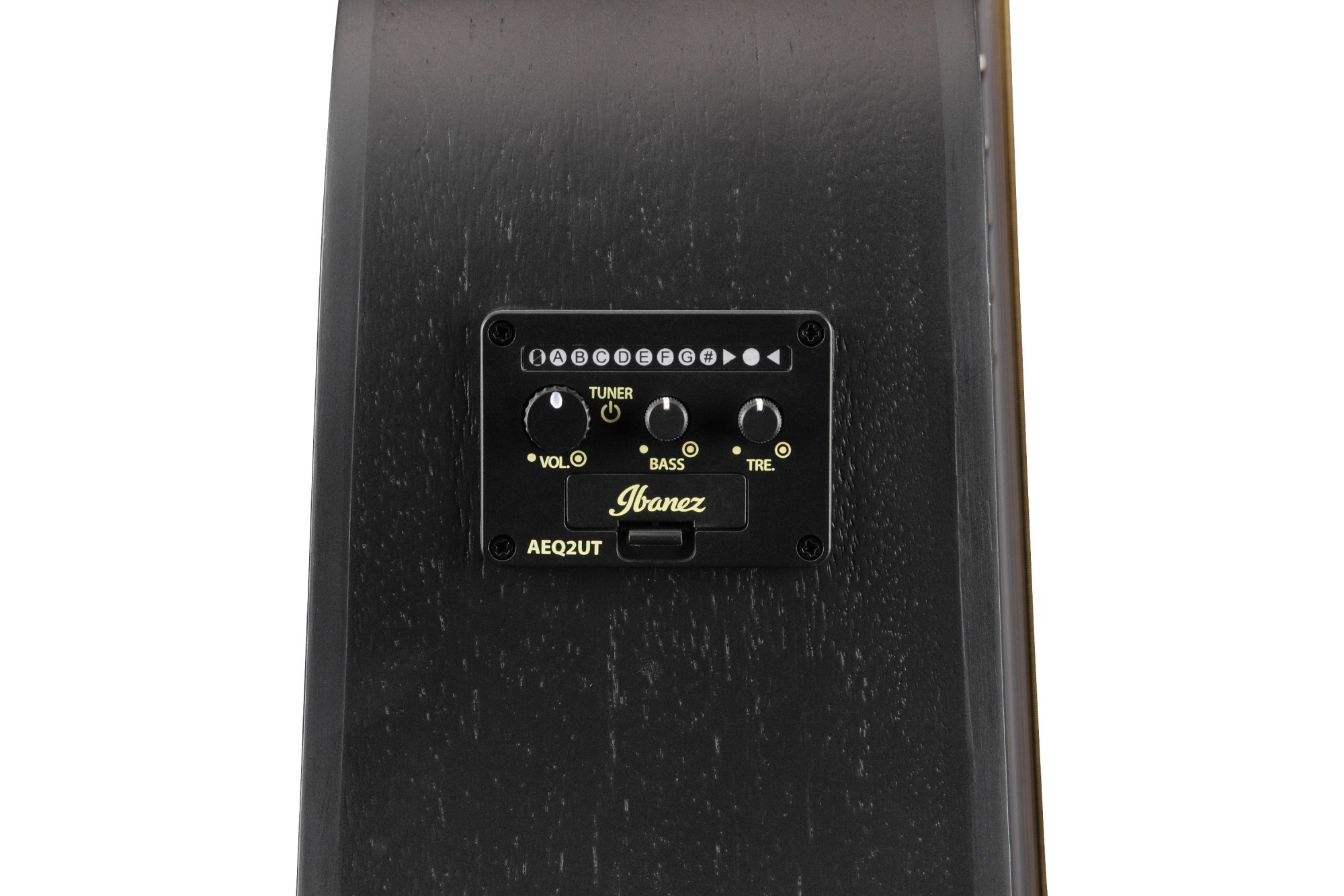 Ibanez ALT20 Weathered Black (obrázek 6)