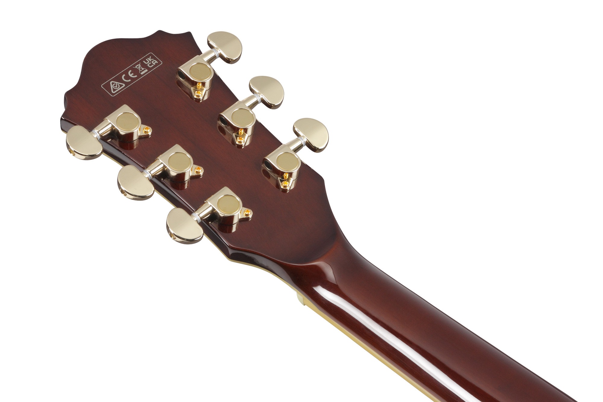 Ibanez AS93BC Black (obrázek 5)