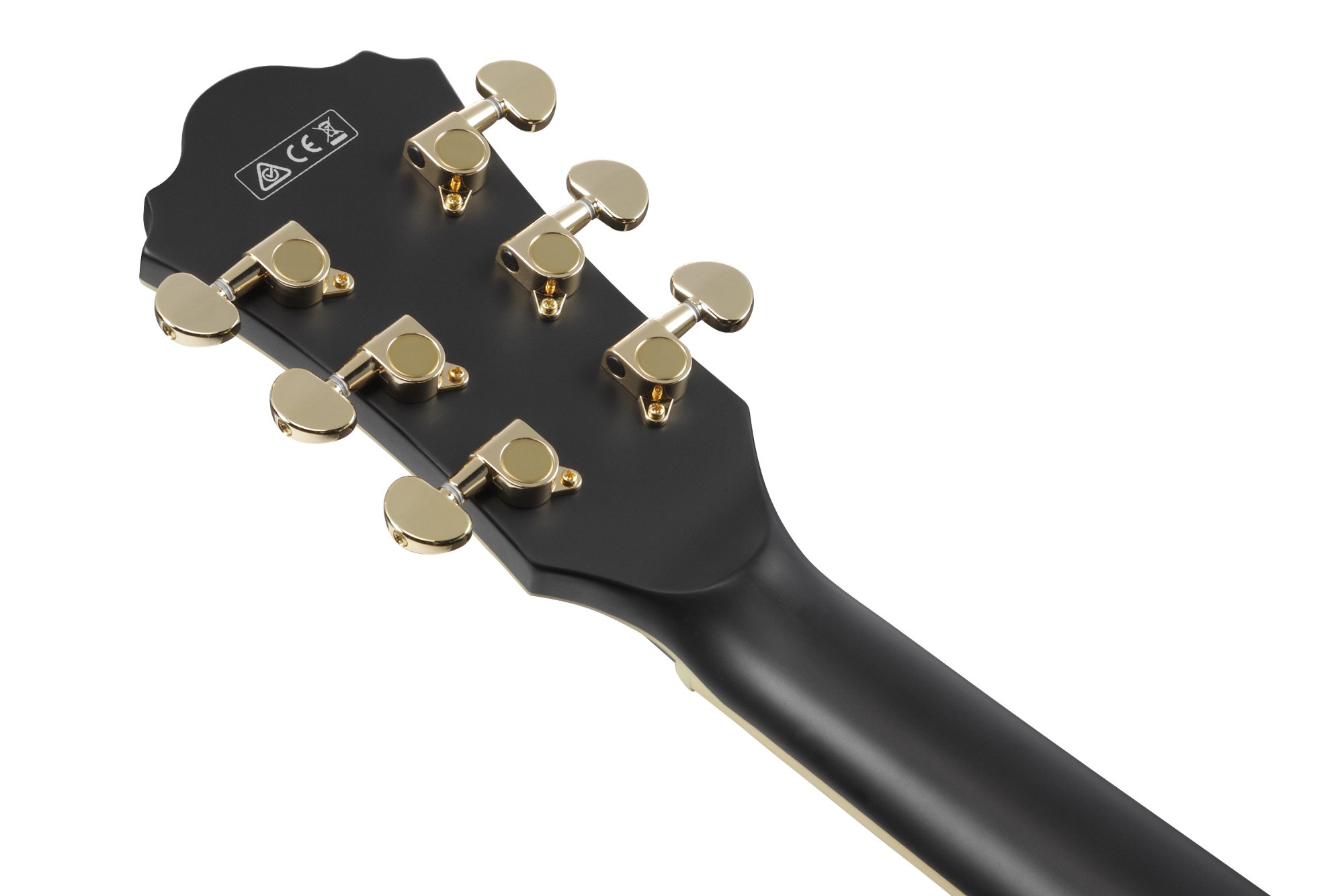 Ibanez AS73G Black (obrázek 5)