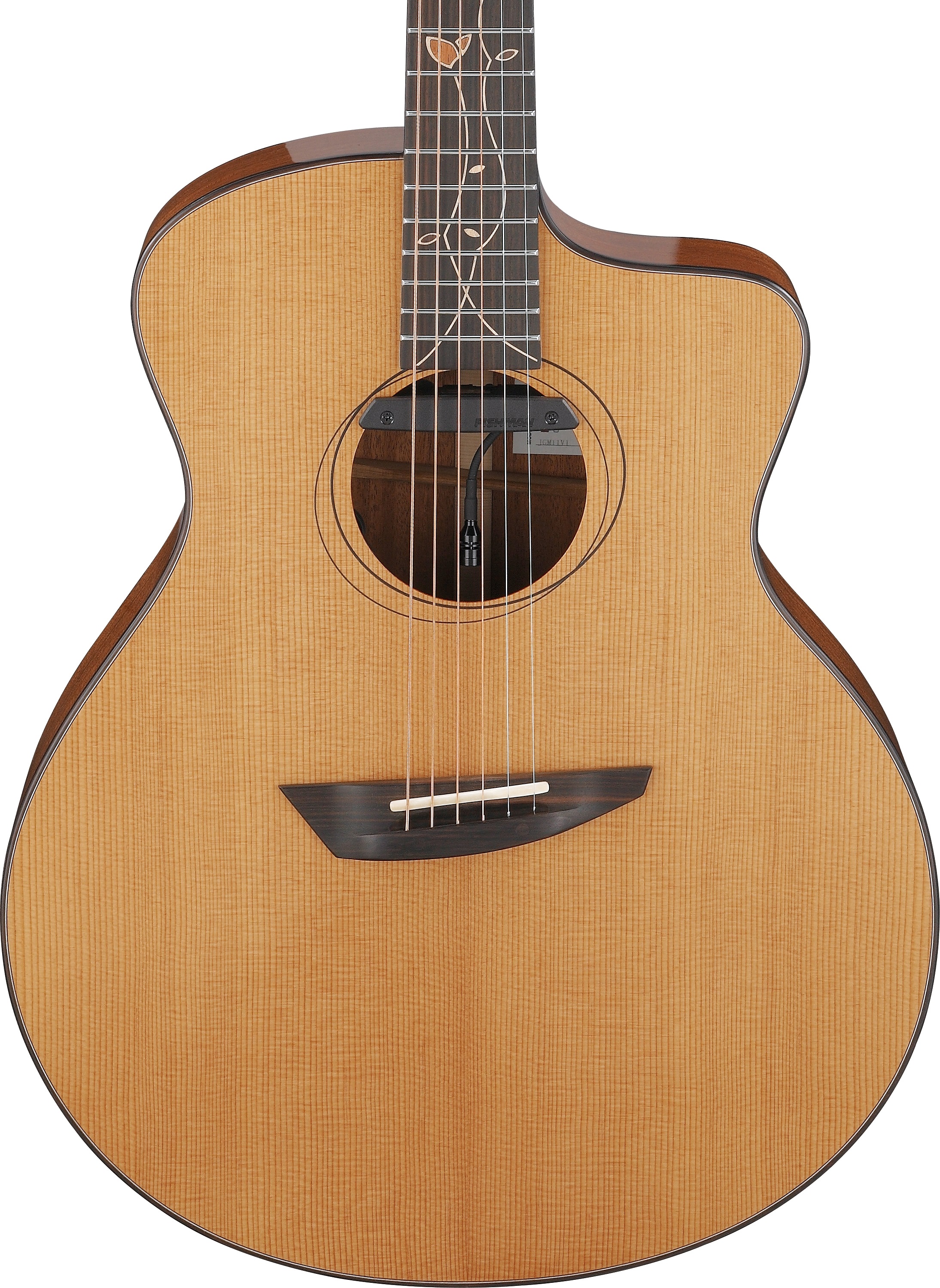 Ibanez Jon Gomm JGM11 (obrázek 3)