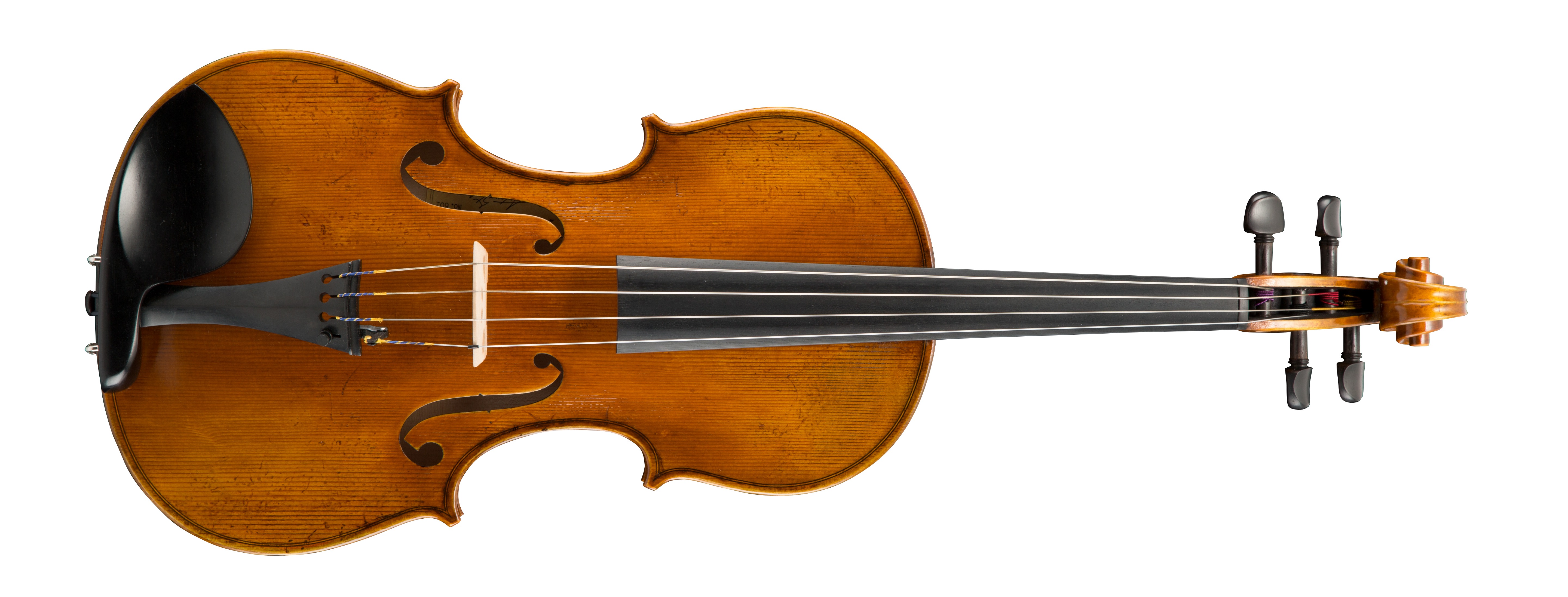 Levně Eastman Albert Nebel Viola 4/4 (VA601G)