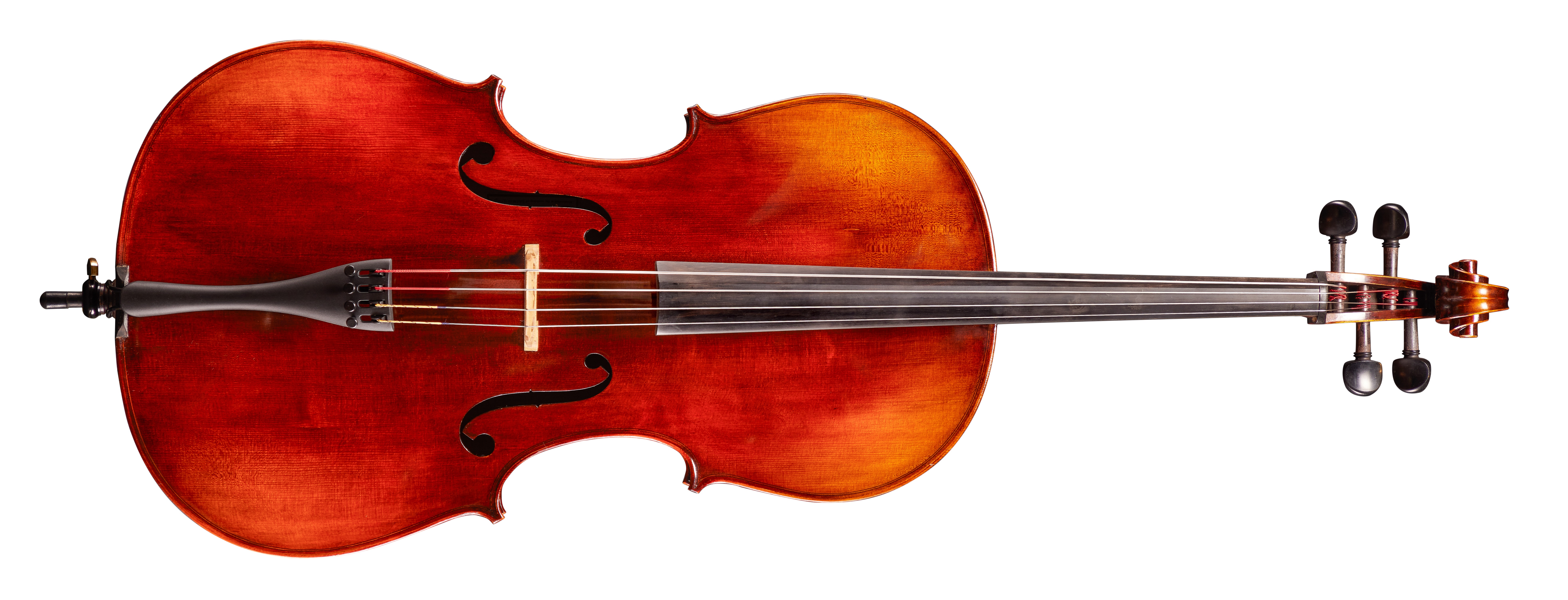 Levně Eastman Andreas Eastman Cello 4/4 (VC305)