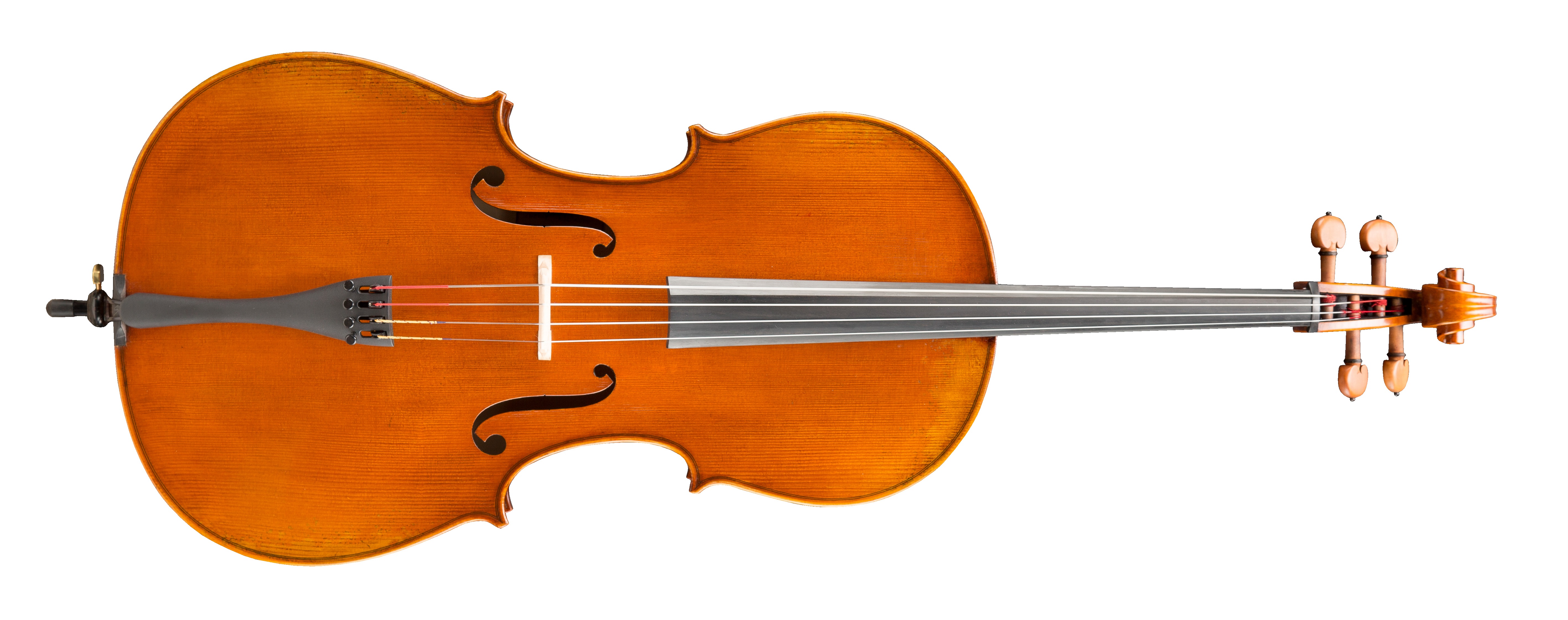 Levně Eastman Amsterdam Atelier 2 Series 4/4 Cello