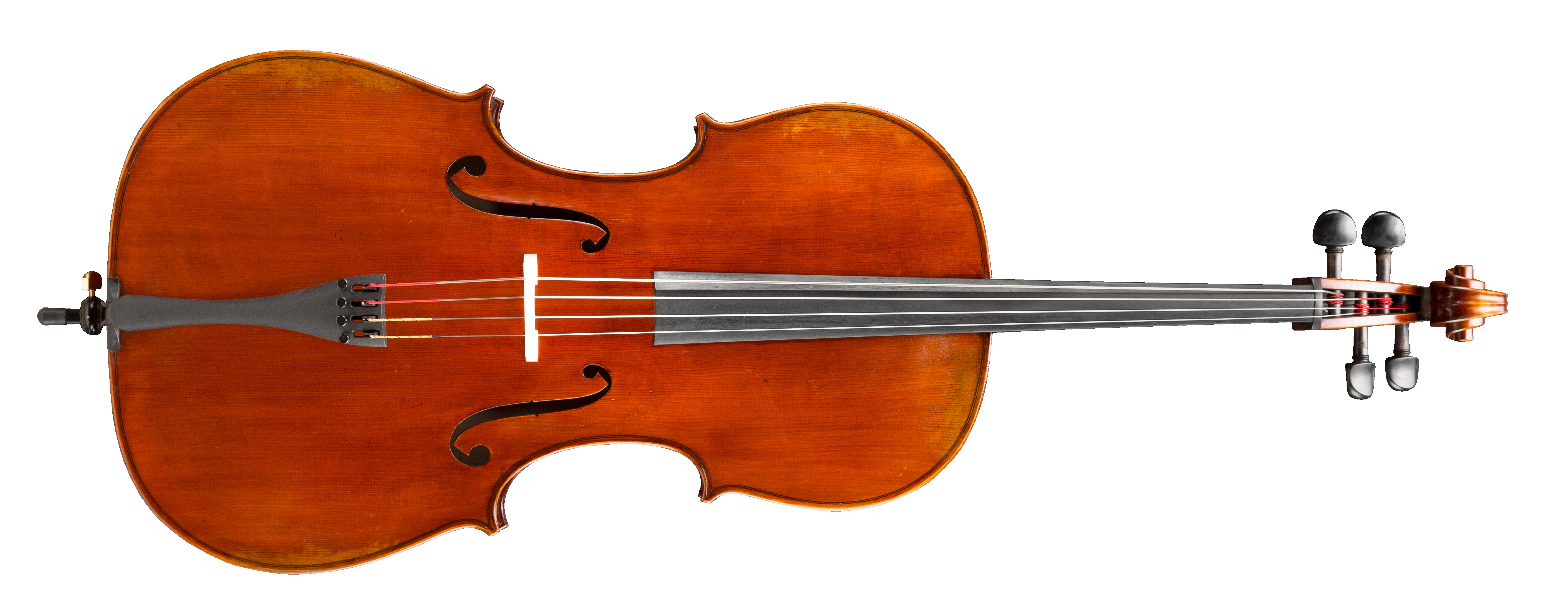 Levně Eastman Albert Nebel Cello 4/4 (VC601G)