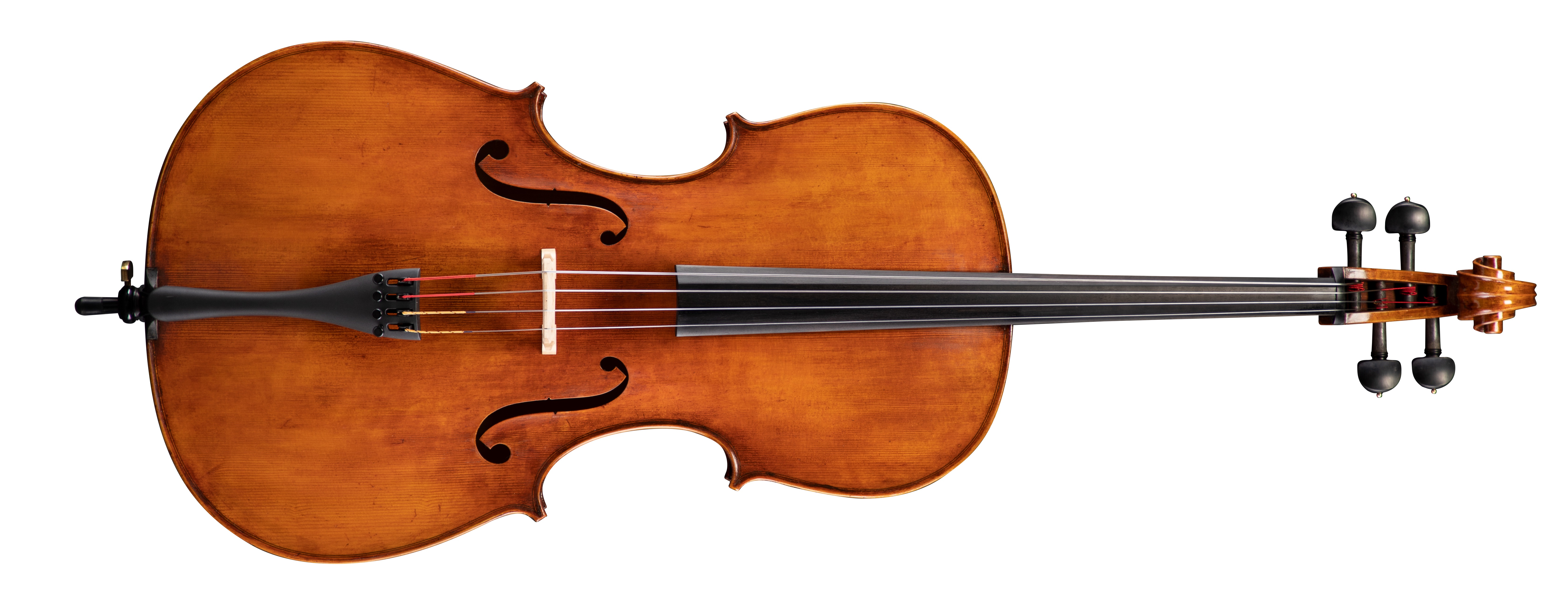 Levně Eastman 830 Series 4/4 Stradivari/Poplar Cello