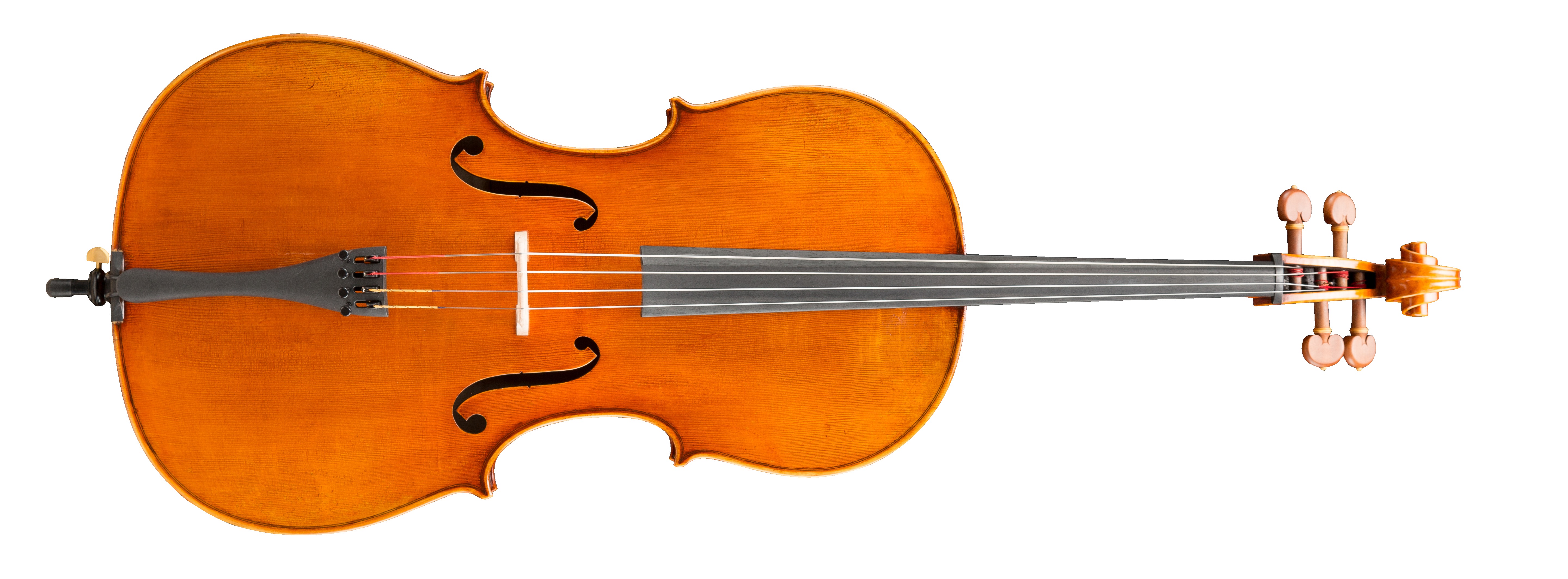 Levně Eastman Amsterdam Atelier 3 Series 4/4 Cello