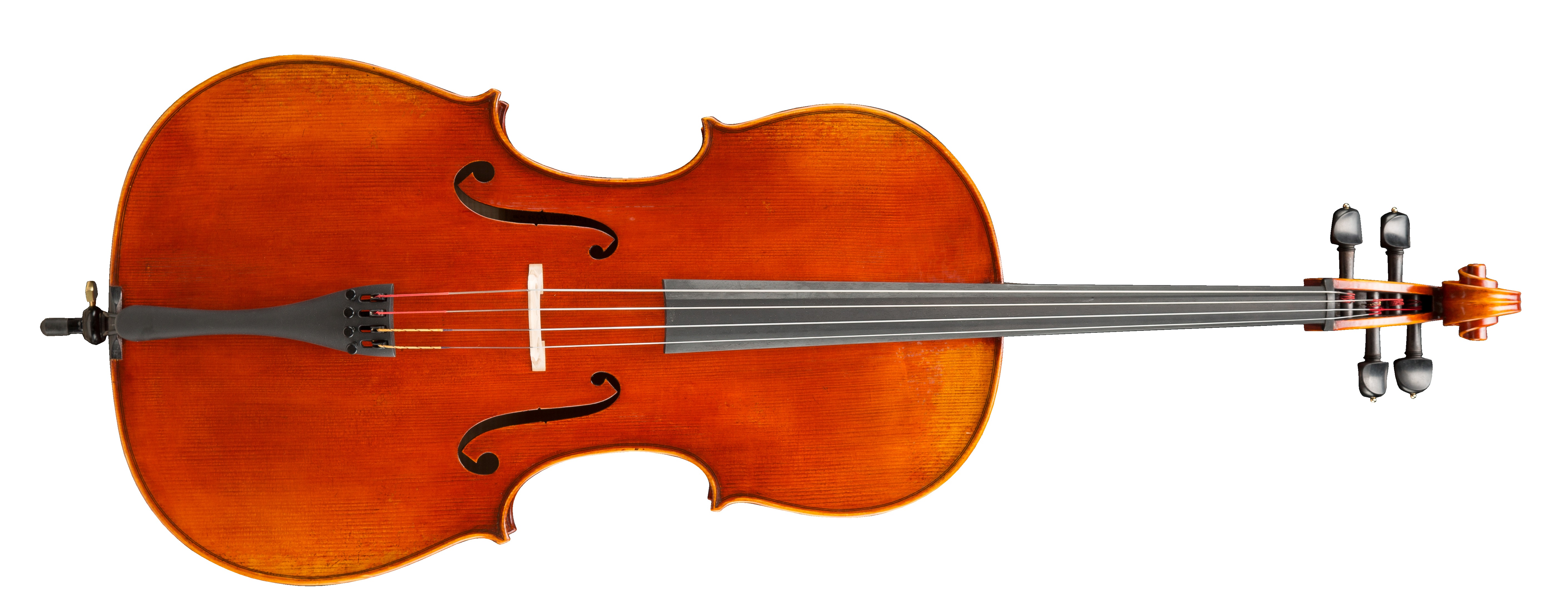 Levně Eastman Frederich Wyss Cello 4/4 (VC703G)