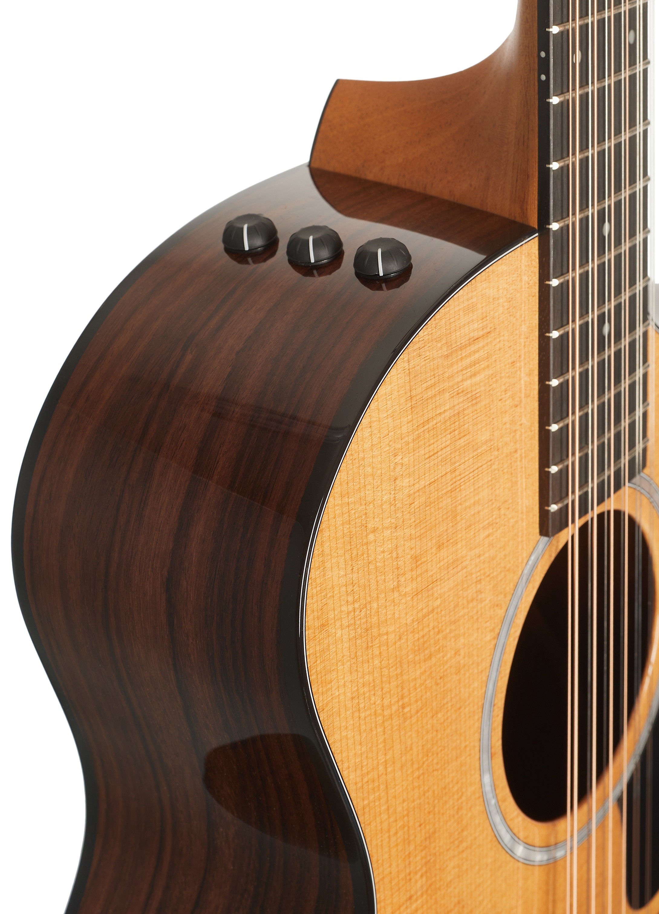 Taylor 254ce Plus (obrázek 4)